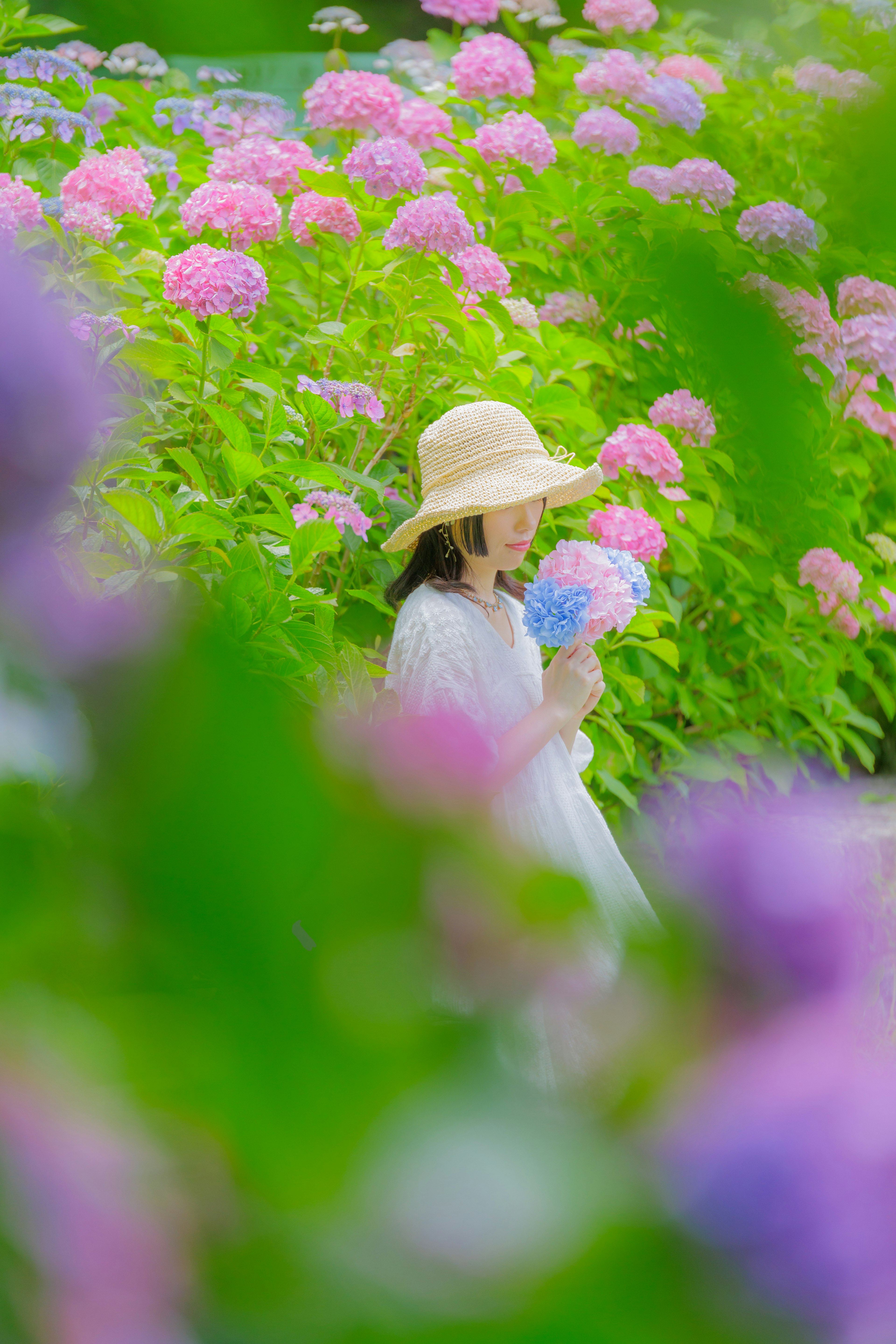 紫陽花の花畑の中で、麦わら帽子をかぶった女性が花を持っている