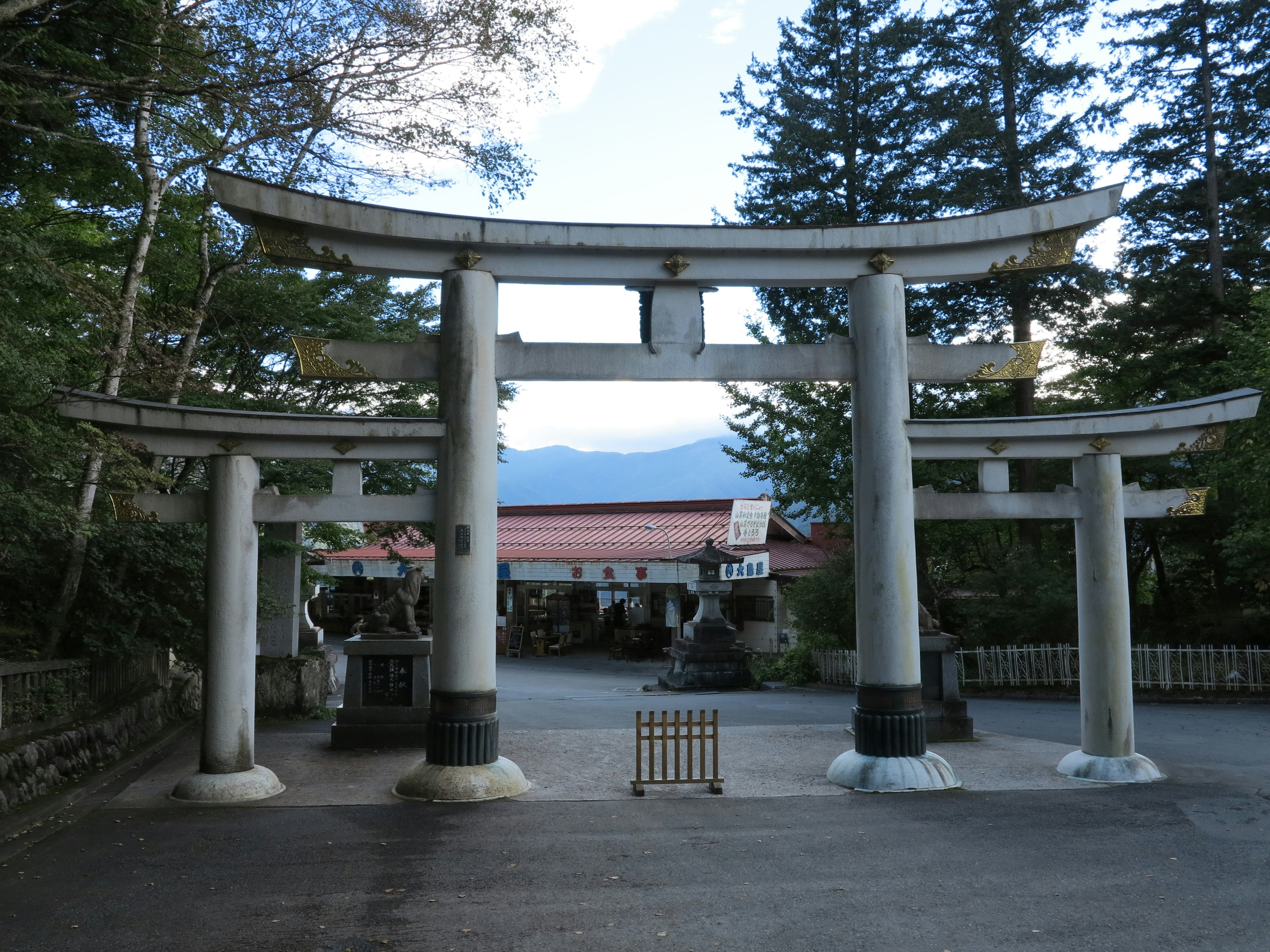 Entrée d'un sanctuaire avec plusieurs torii entourés d'arbres luxuriants et d'une atmosphère sereine