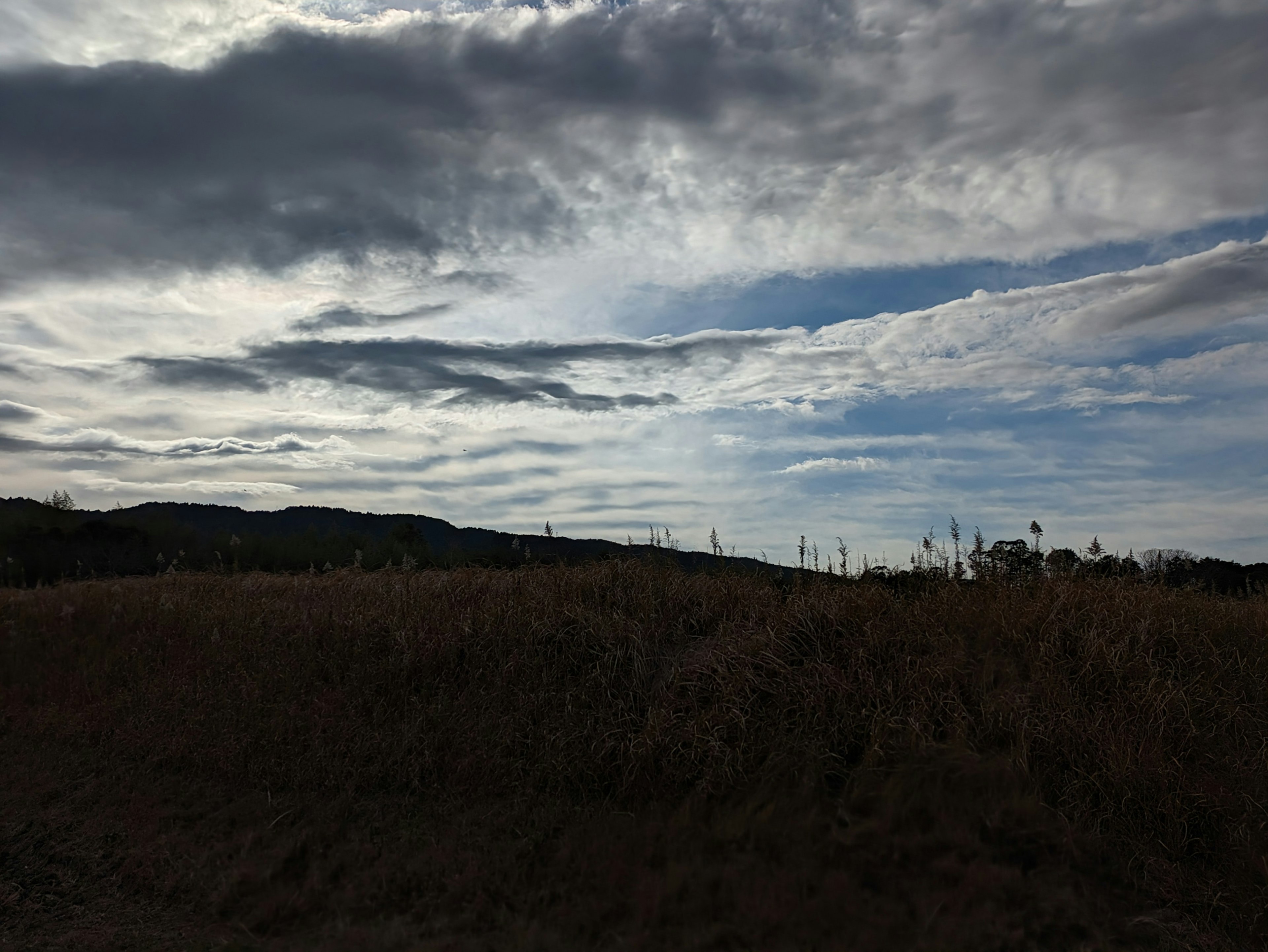 Landscape featuring contrasting clouds and blue sky