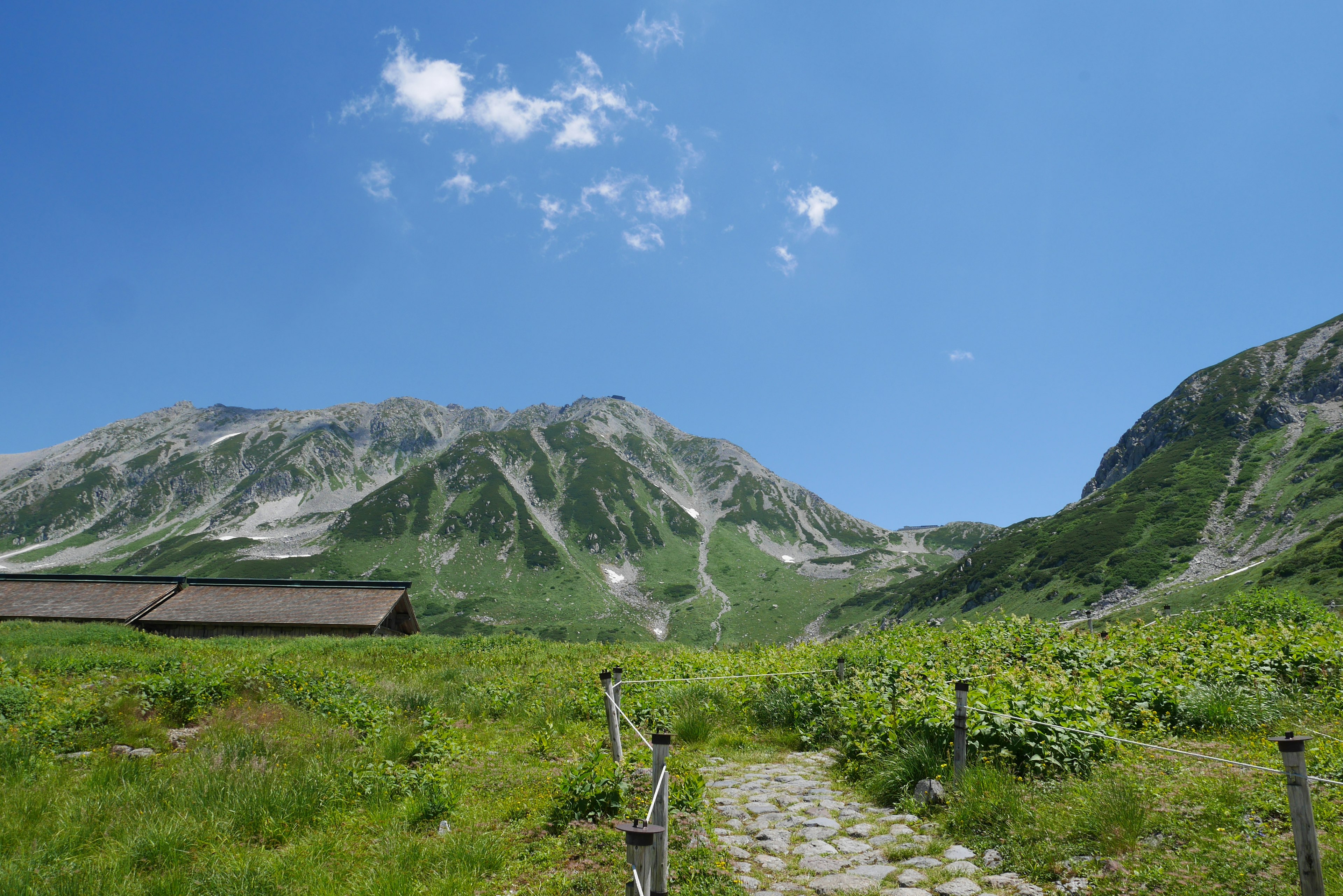 青空の下に広がる緑の草原と山々の風景