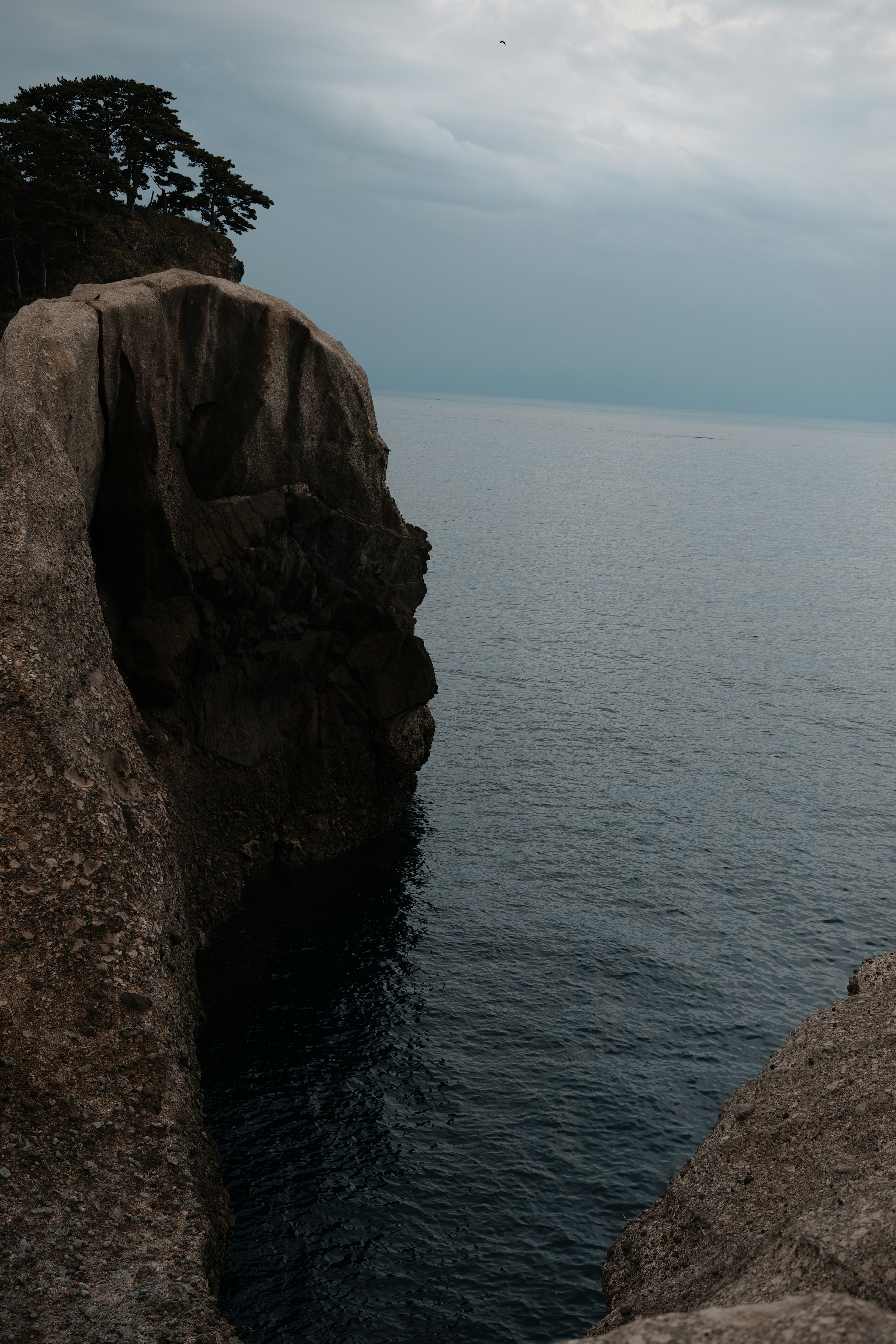 海の近くの岩と静かな水面の風景