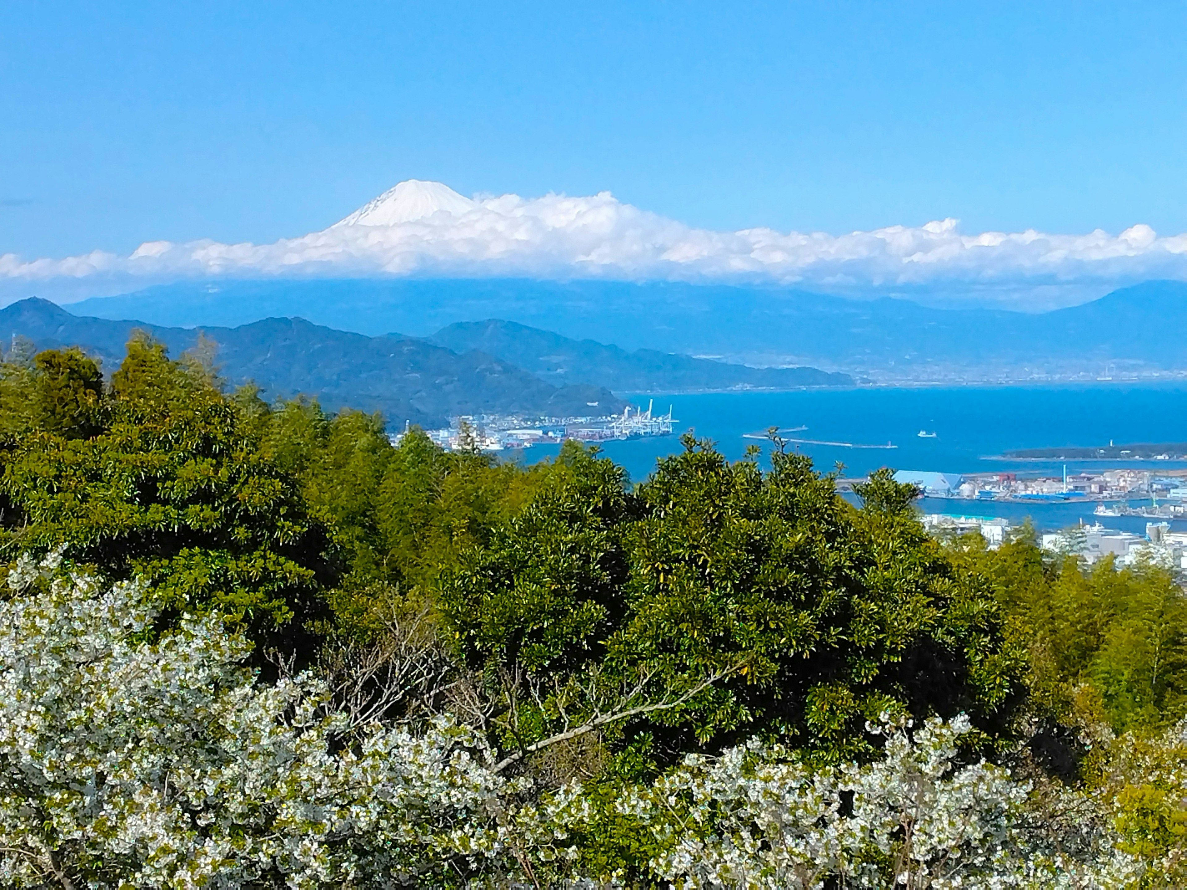 青い空と白い雪を冠した山々を背景にした美しい海の風景緑豊かな木々が手前に広がる