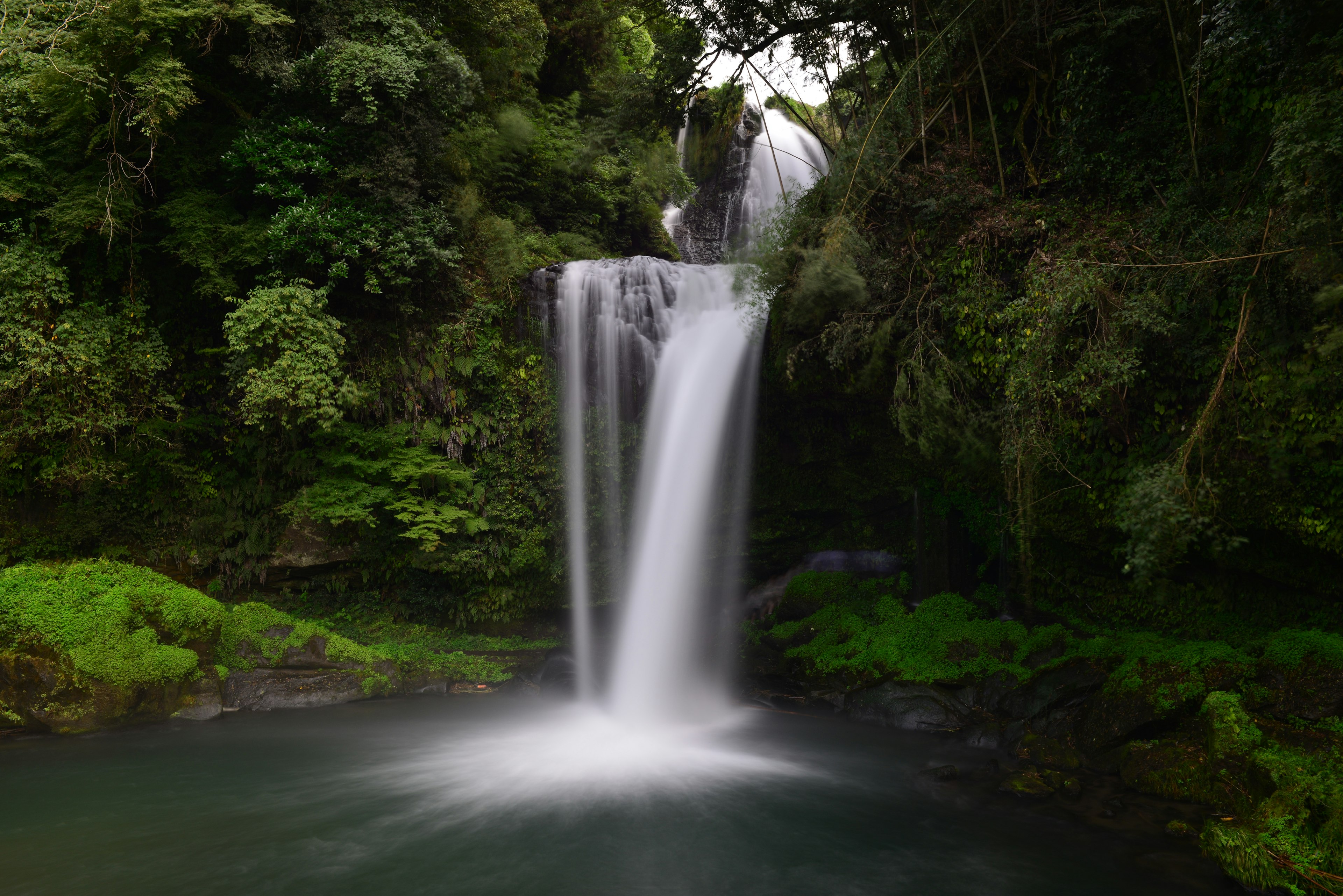 Un paesaggio bellissimo con una cascata circondata da una vegetazione lussureggiante