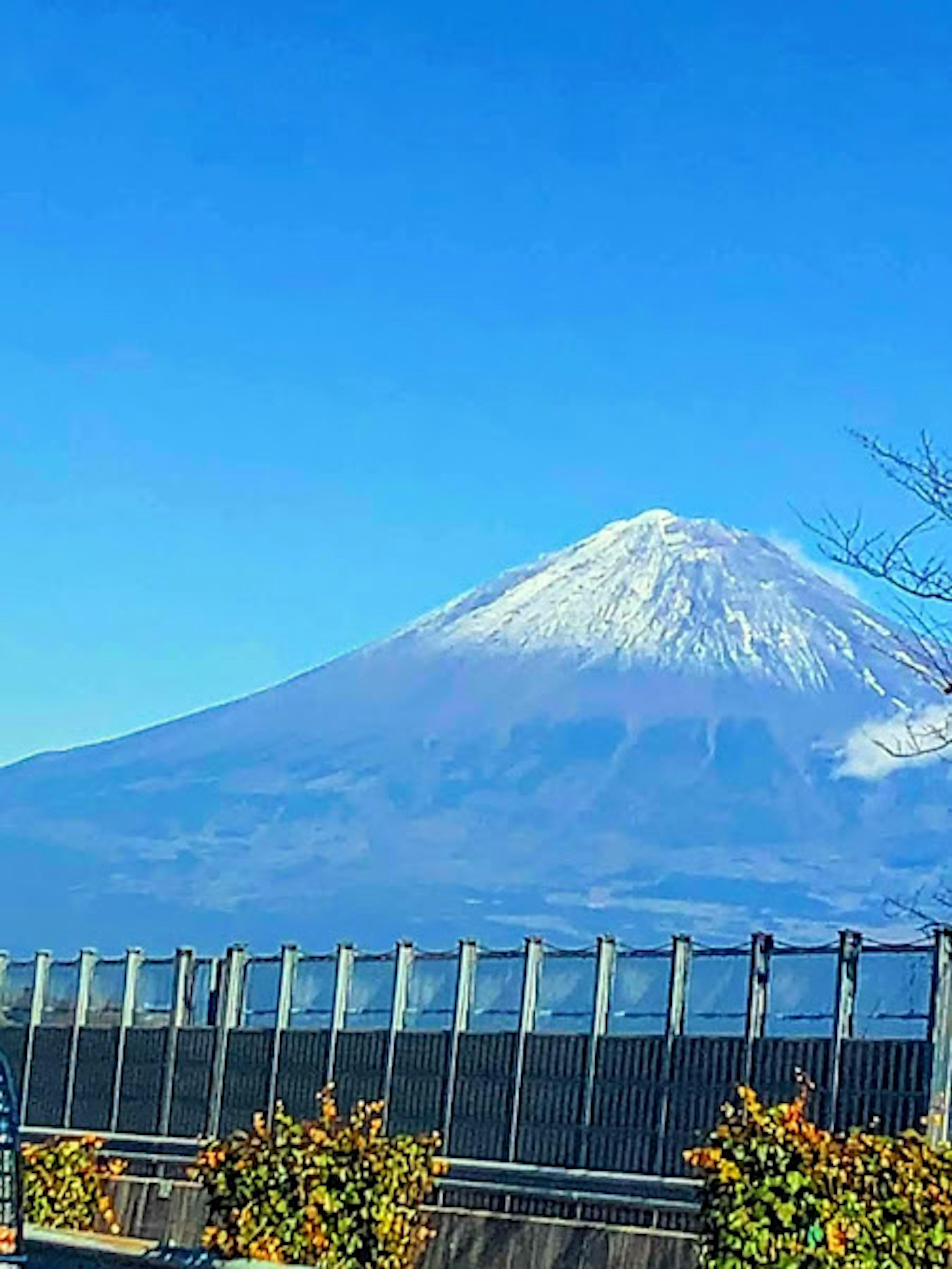 Snow-capped Mount Fuji under a clear blue sky with surrounding greenery