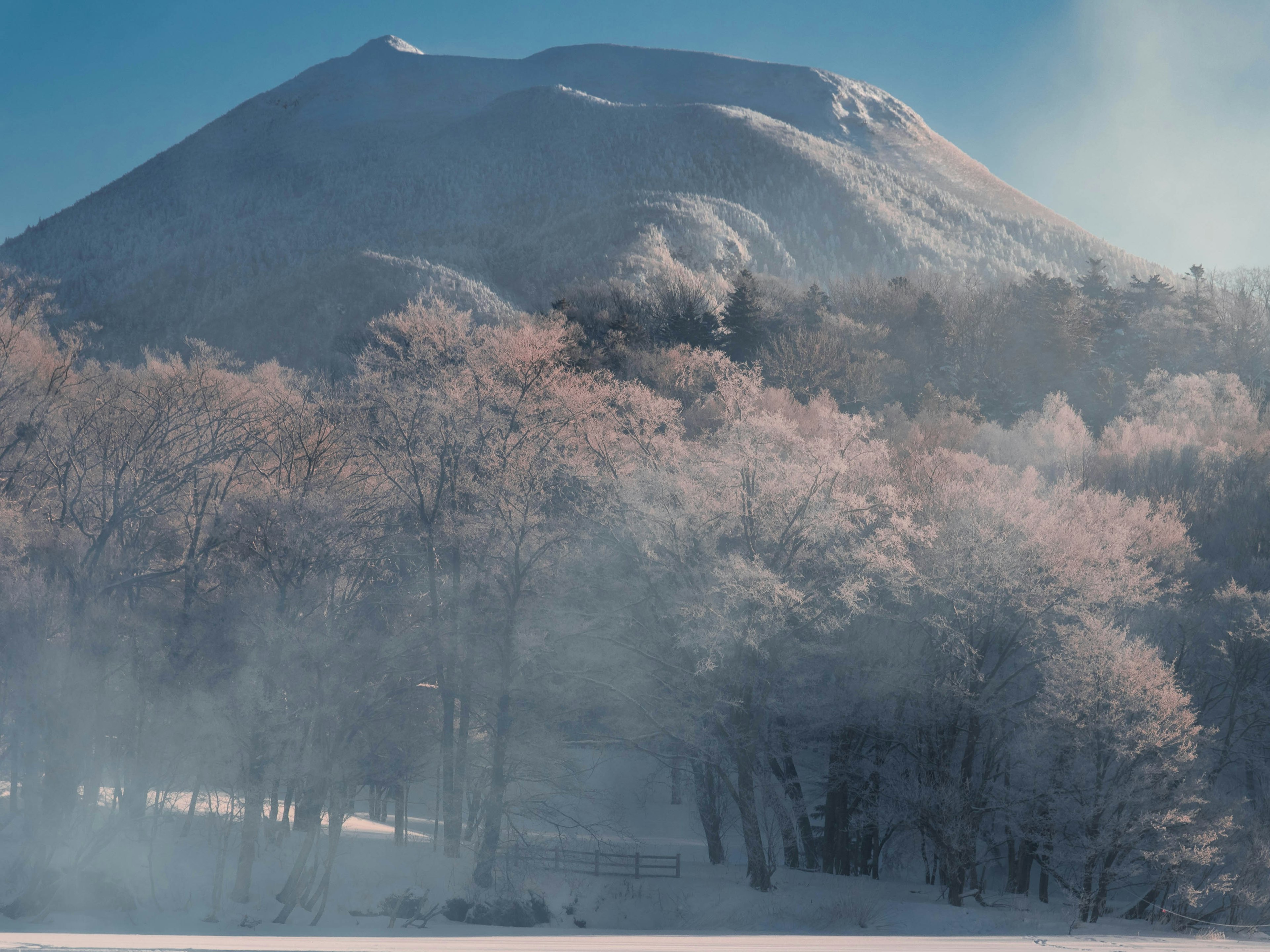 Snow-covered mountain with mist surrounding pale pink trees