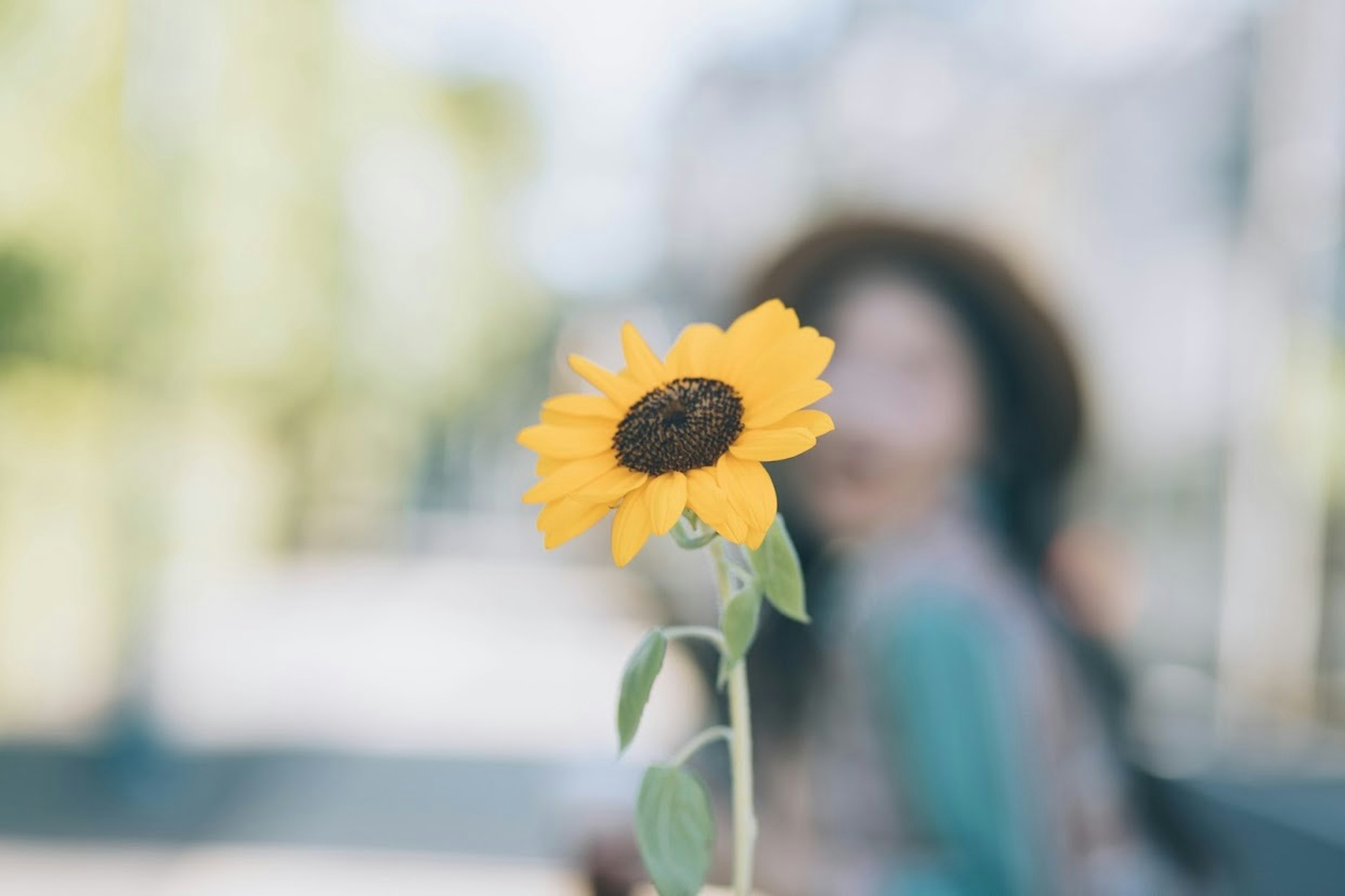 Eine Sonnenblume im Vordergrund mit einer verschwommenen Frau im Hintergrund