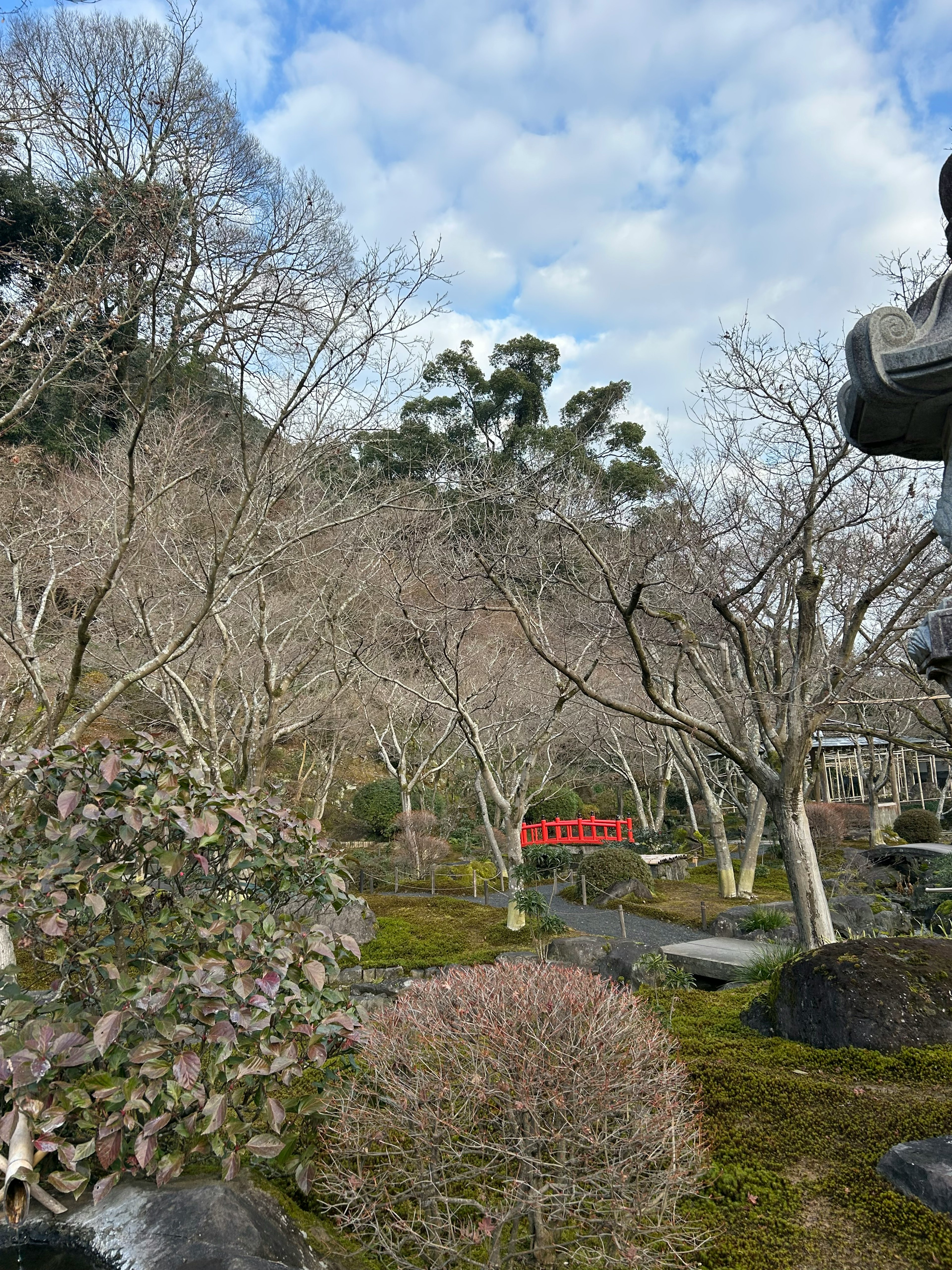 Paisaje de jardín de invierno con árboles desnudos y piedras