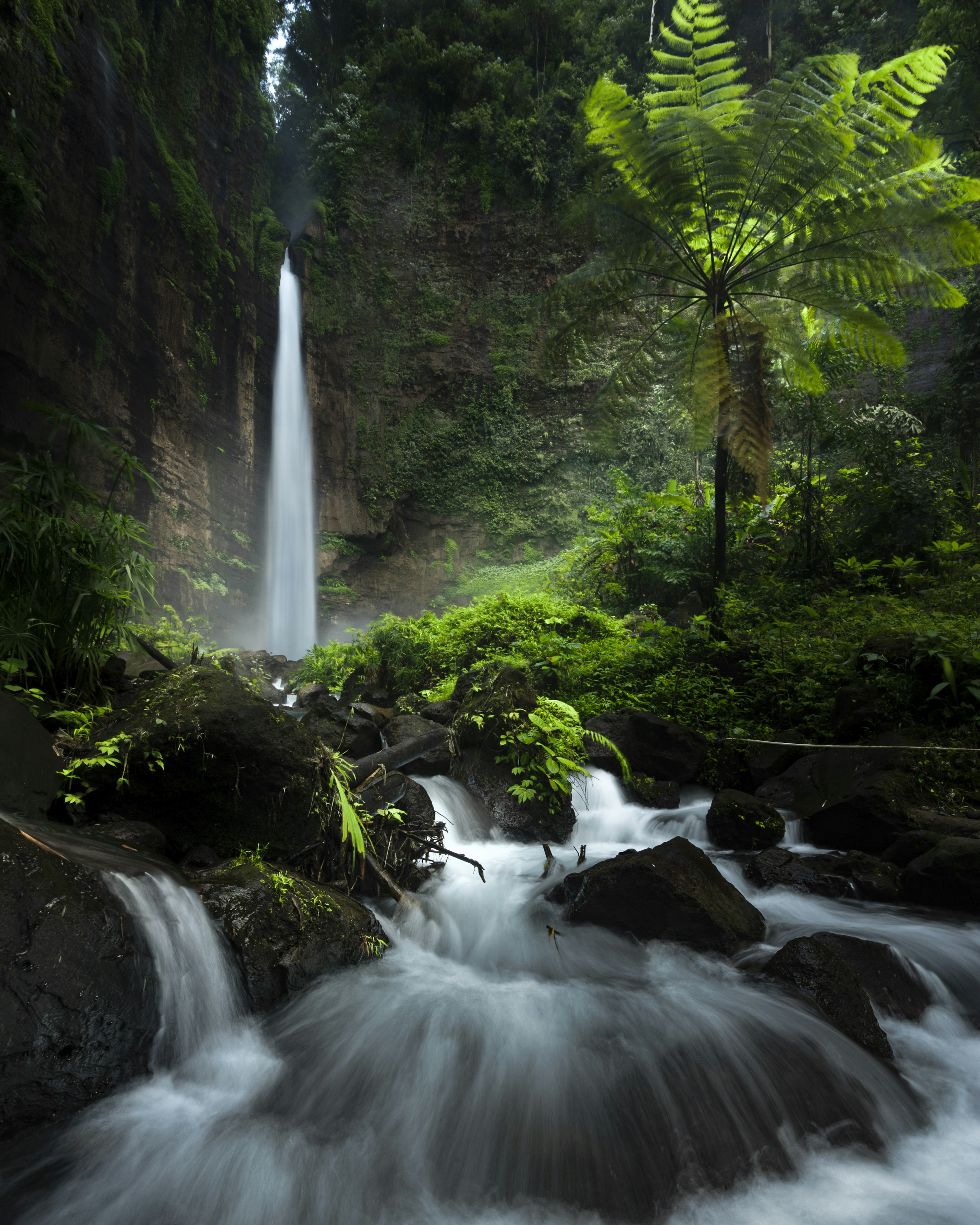 滝と緑の植物に囲まれた美しい自然の風景