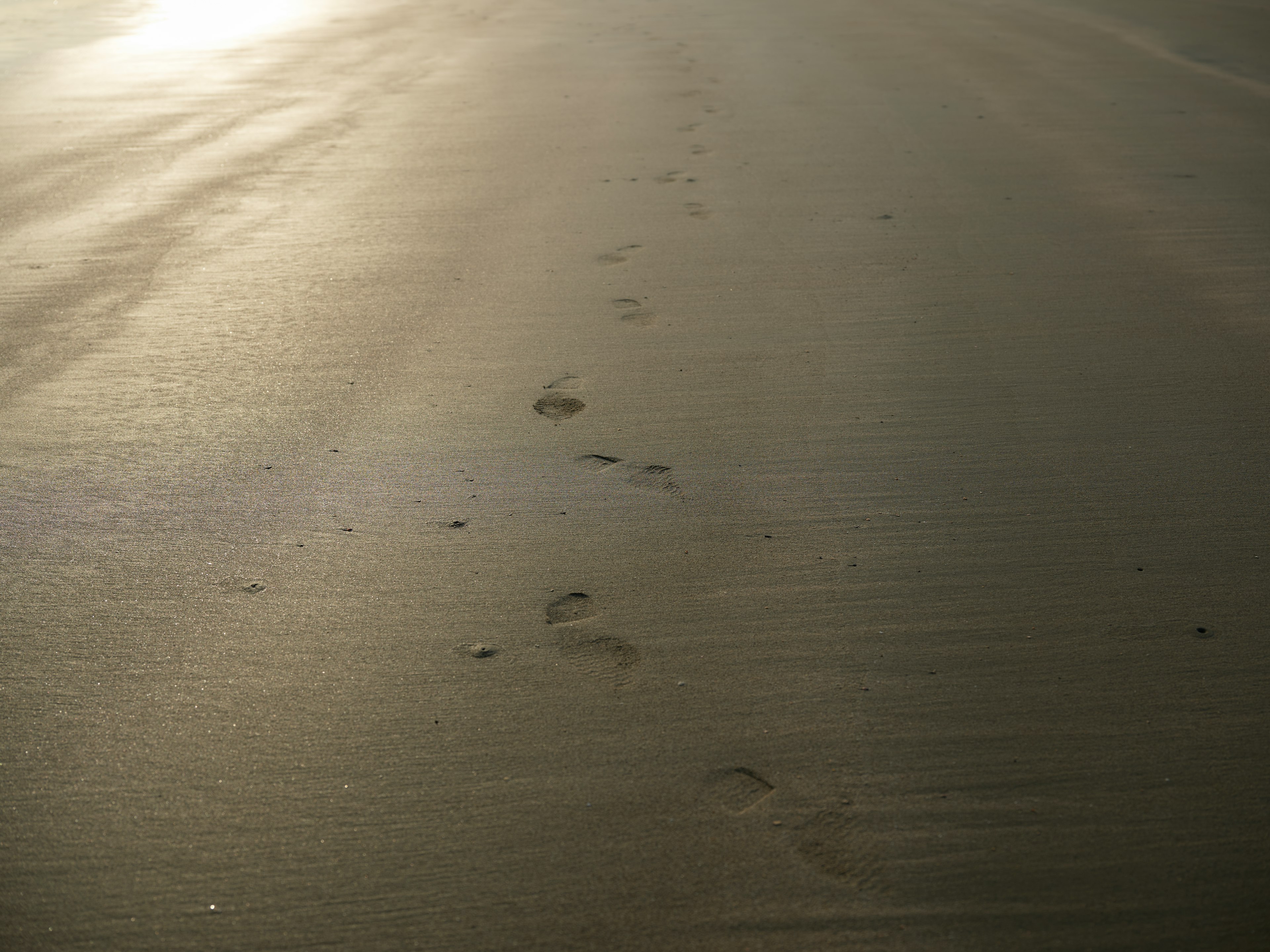 Impronte sulla spiaggia di sabbia