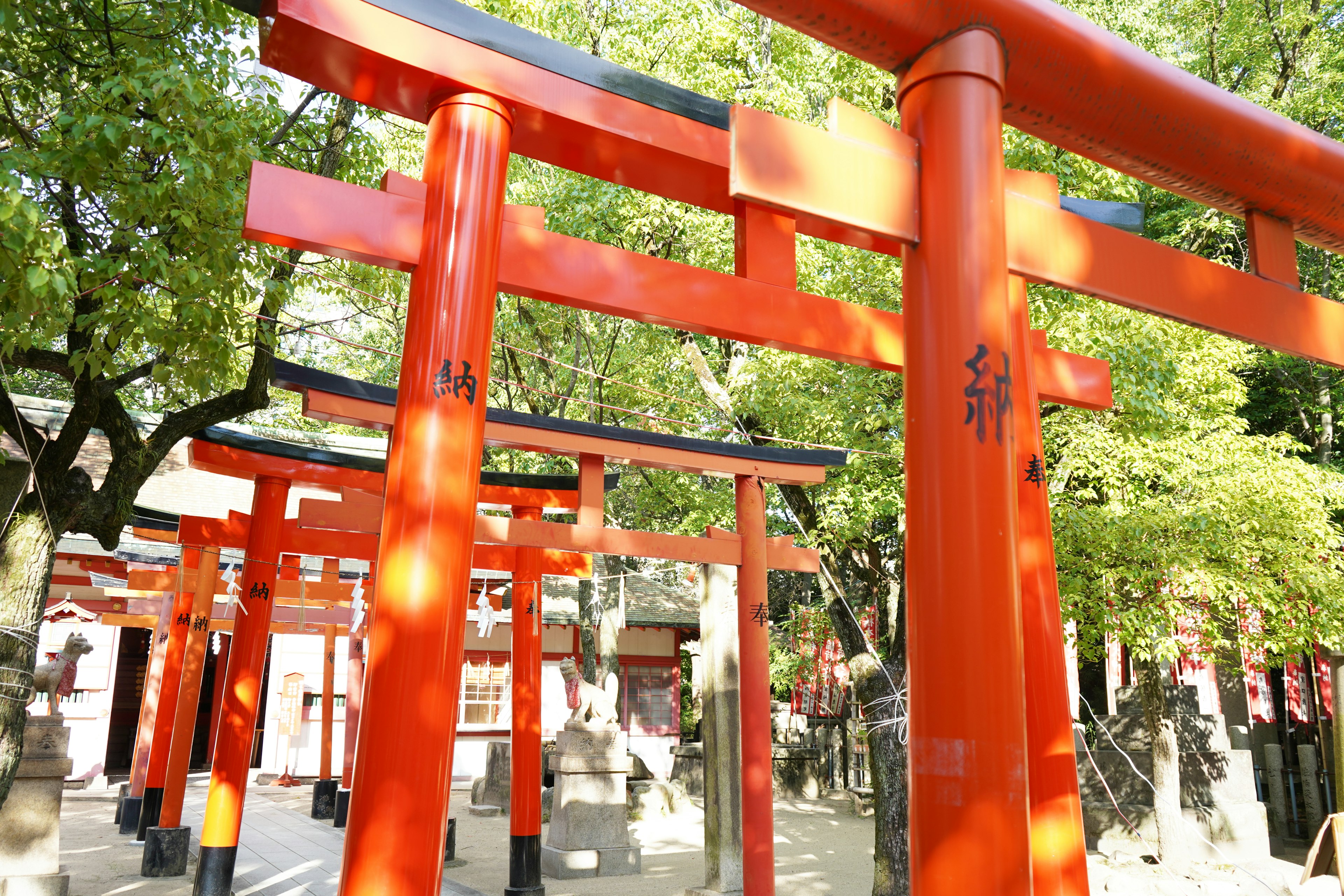 A serene scene of red torii gates at a shrine surrounded by lush greenery