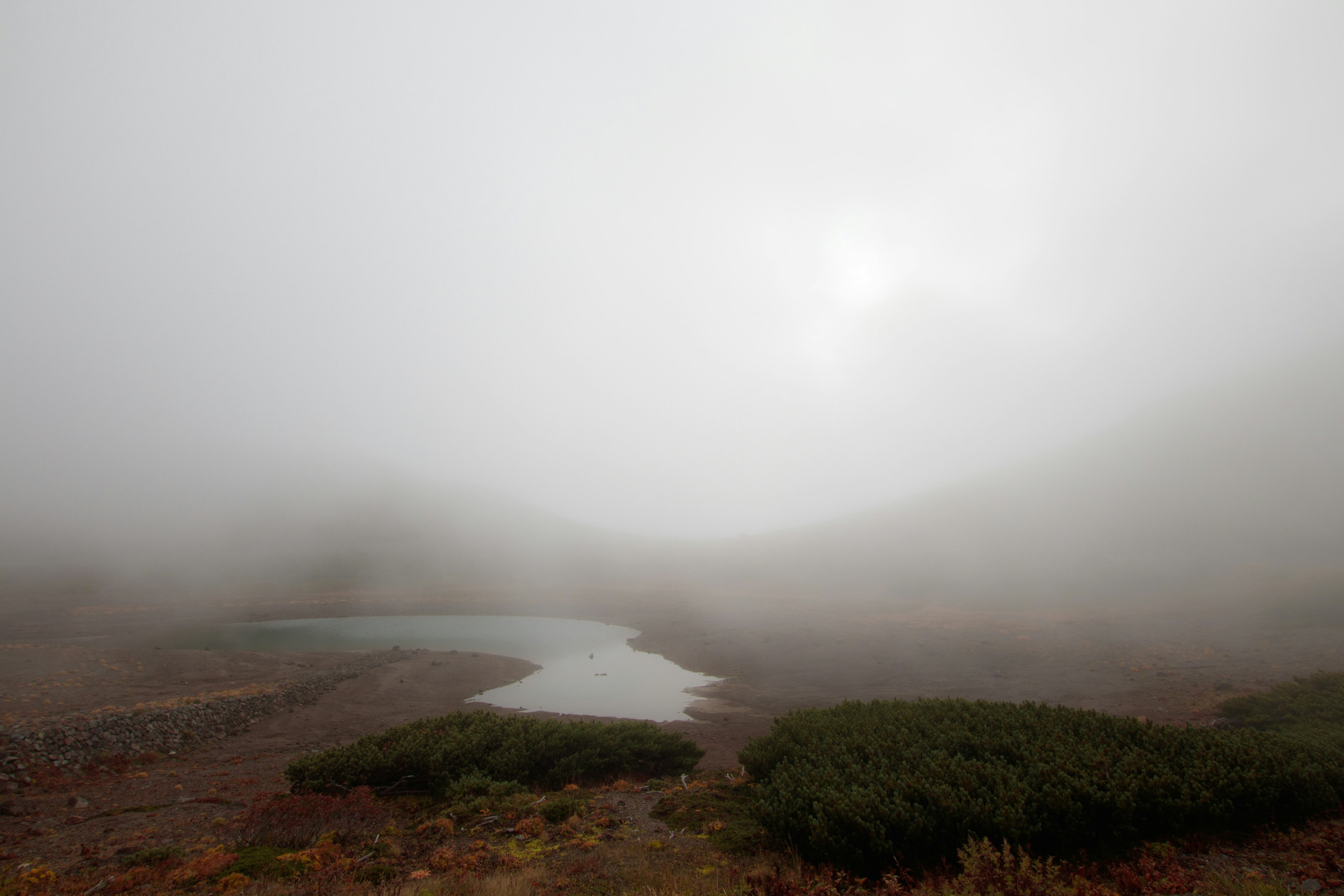 Foggy landscape featuring a winding stream and low shrubs