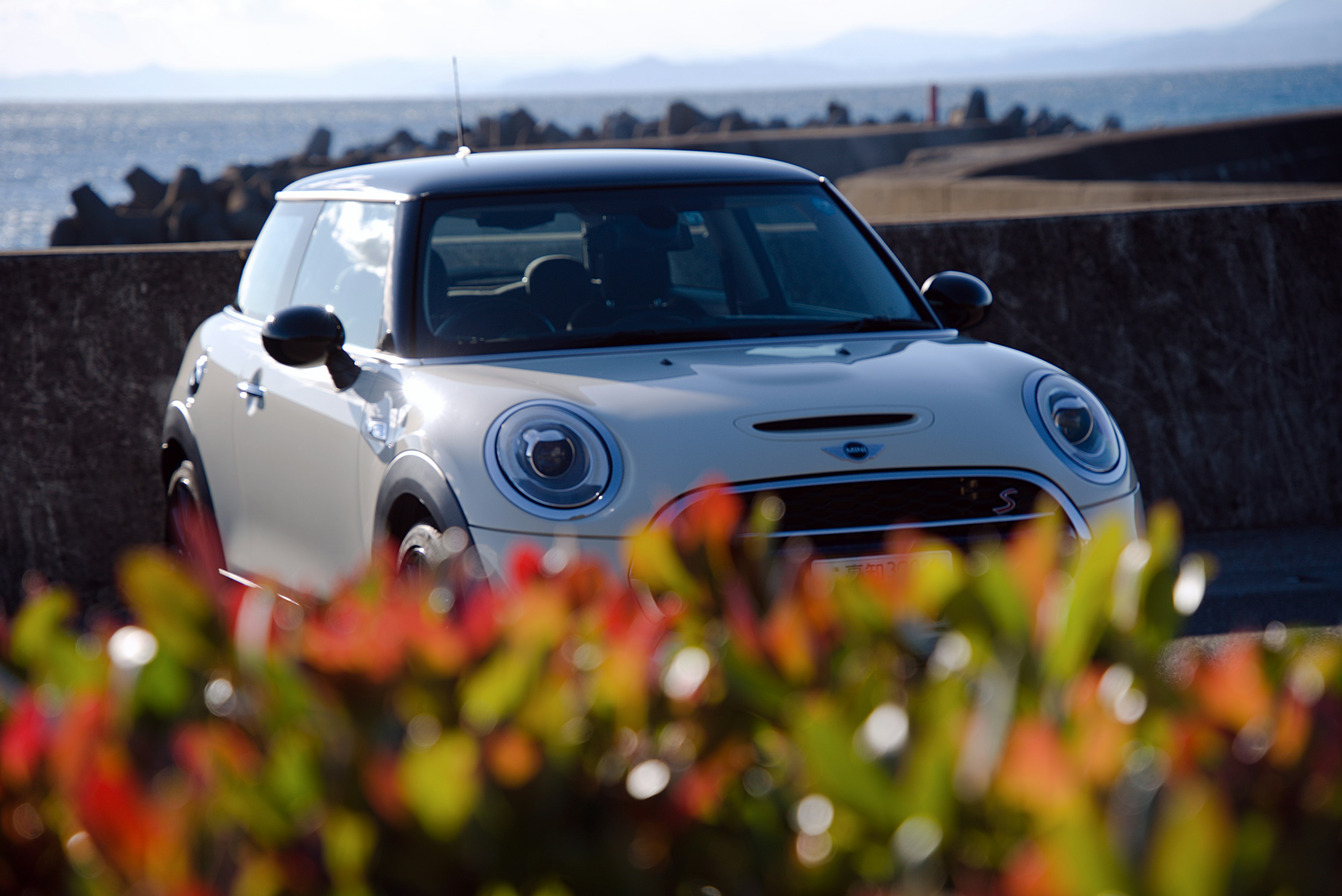 A white Mini Cooper parked near the sea