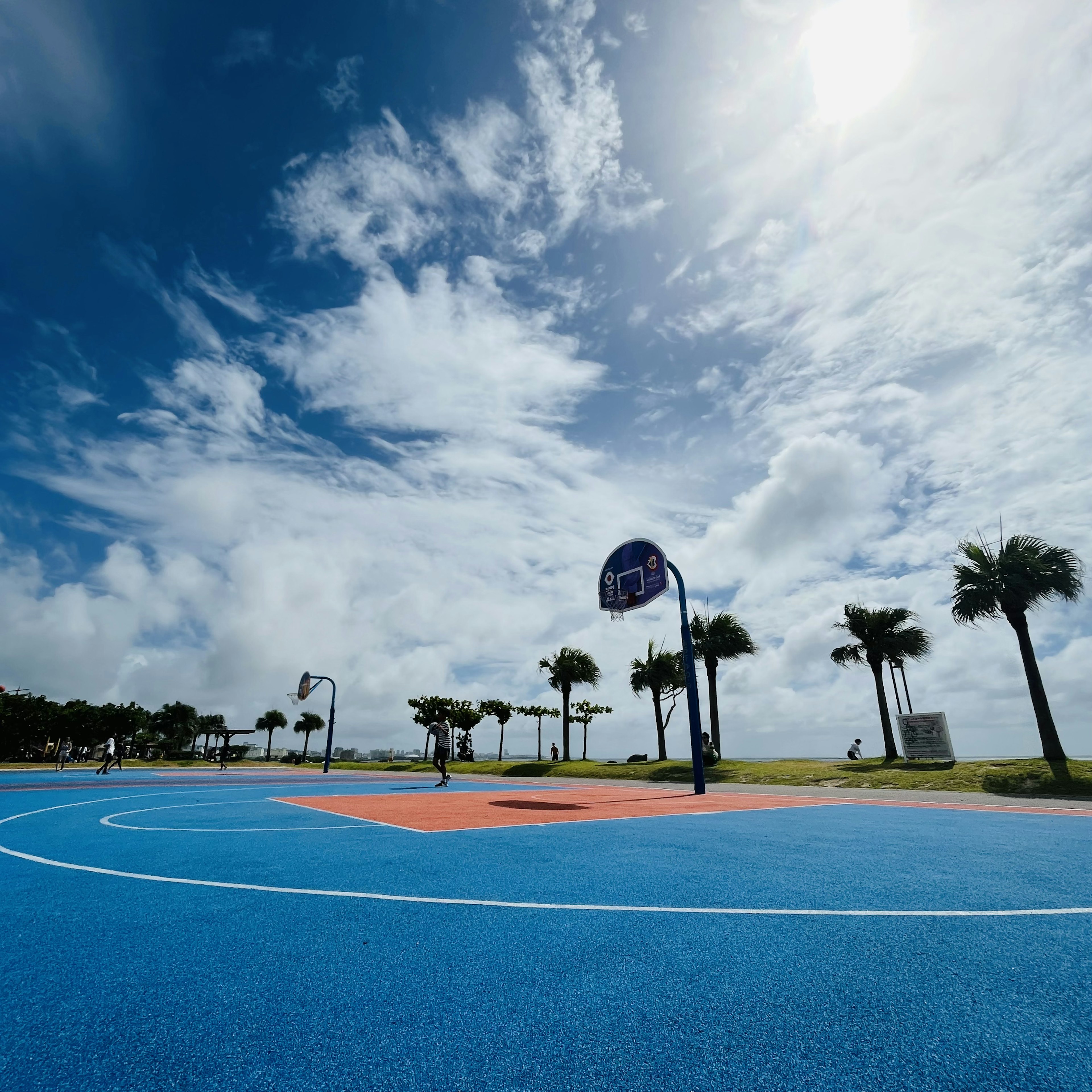 Lebhaft blauer Basketballplatz unter einem hellen Himmel mit Palmen