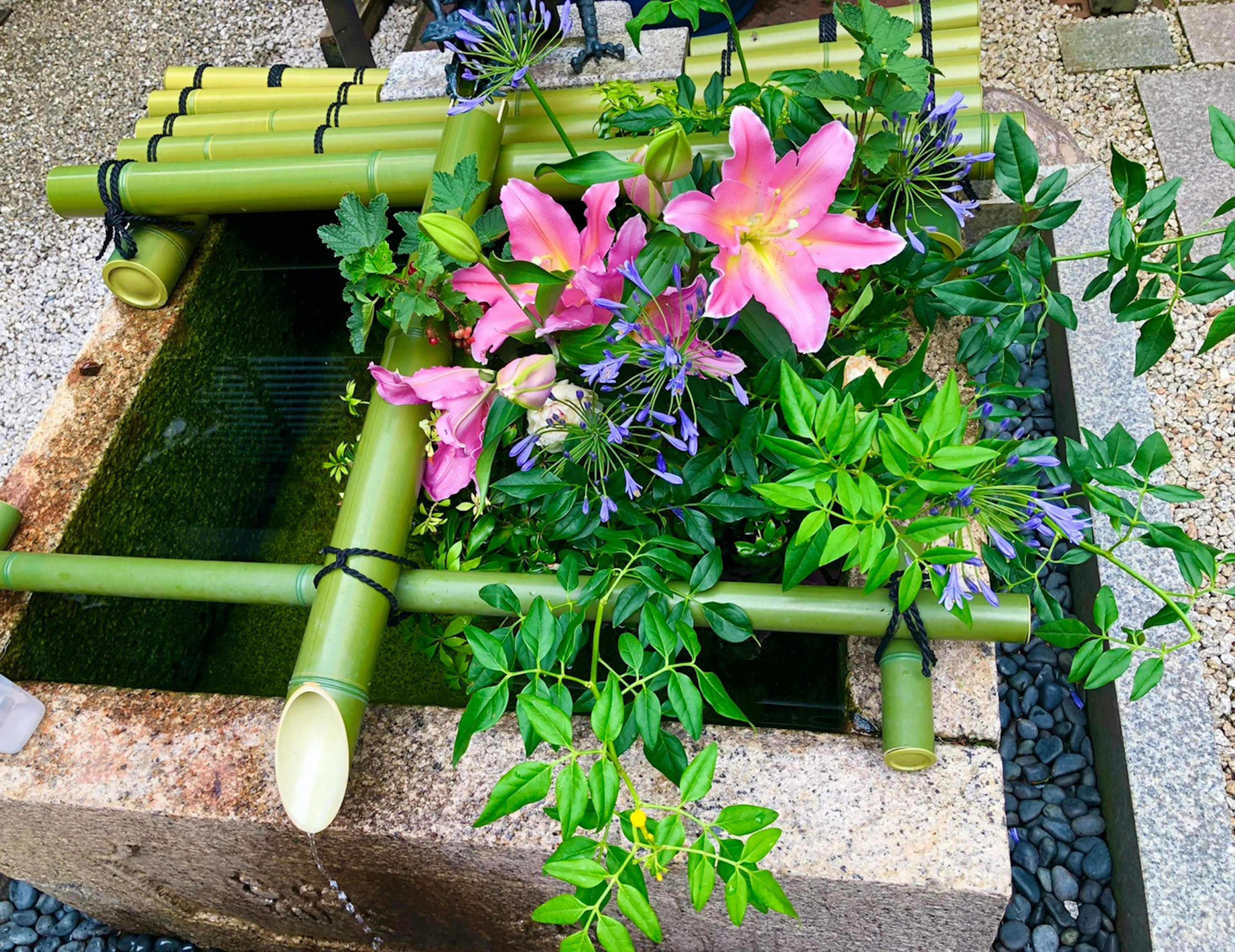 Ein ruhiges Gartenmerkmal mit Bambus und bunten Blumen