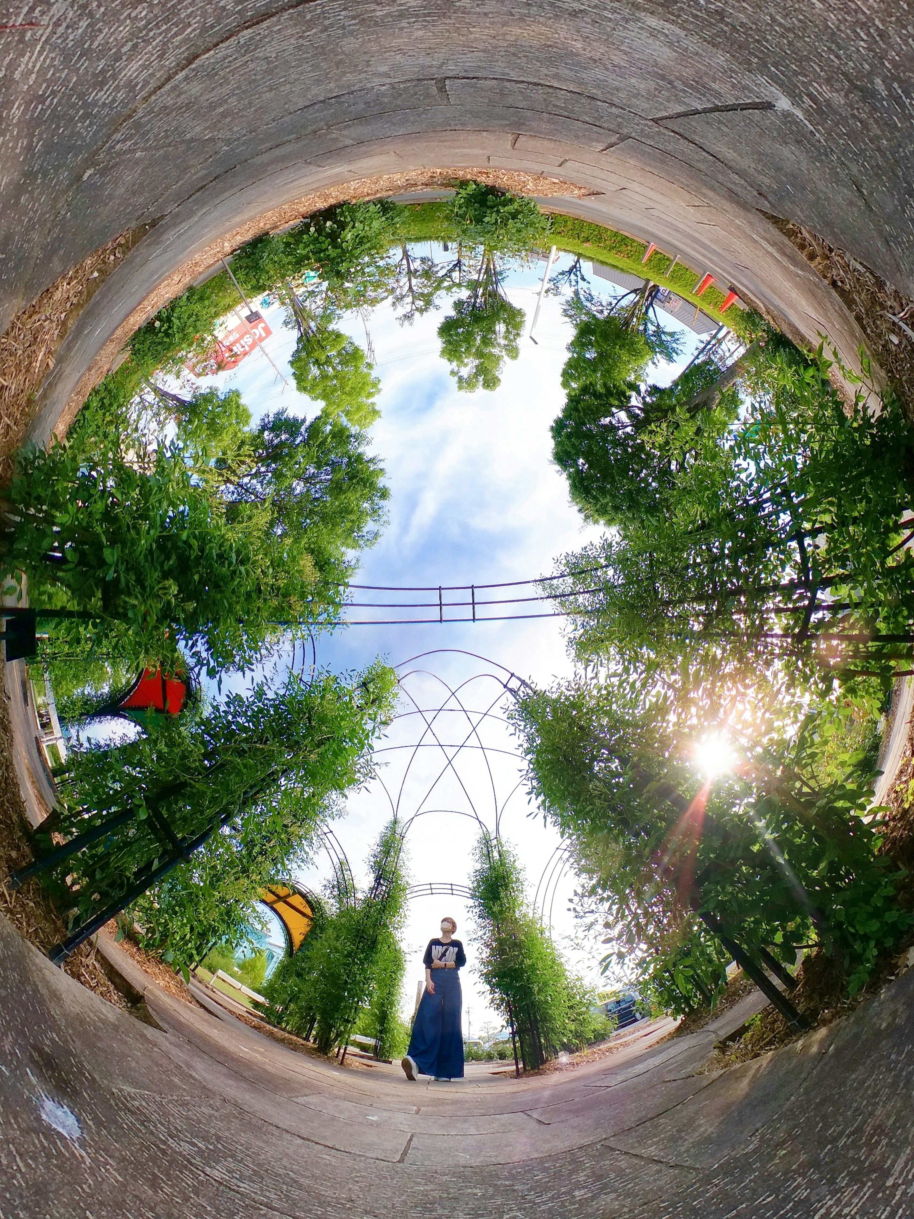 A woman standing in a circular path surrounded by green trees