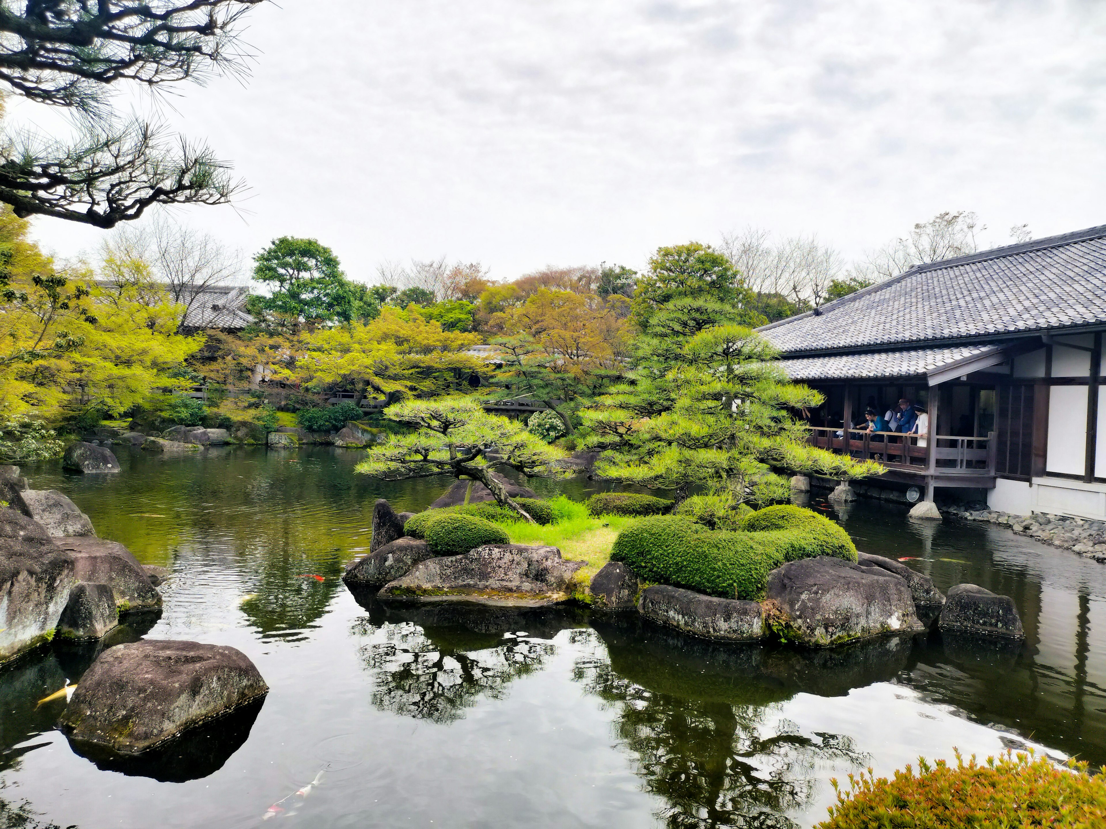 静かな日本庭園の池と緑の木々がある風景