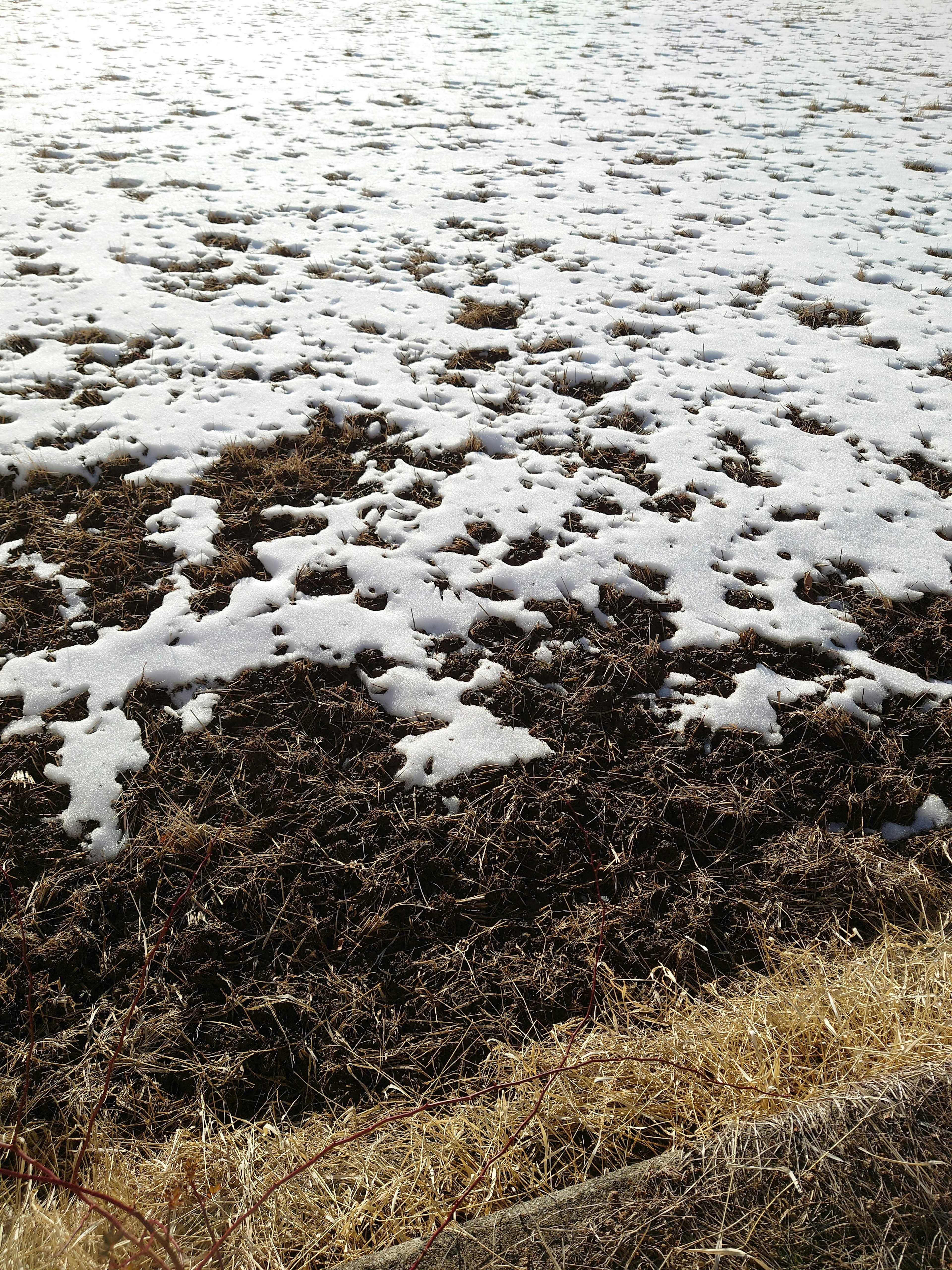 Paisaje agrícola que muestra nieve derretida y suelo terroso