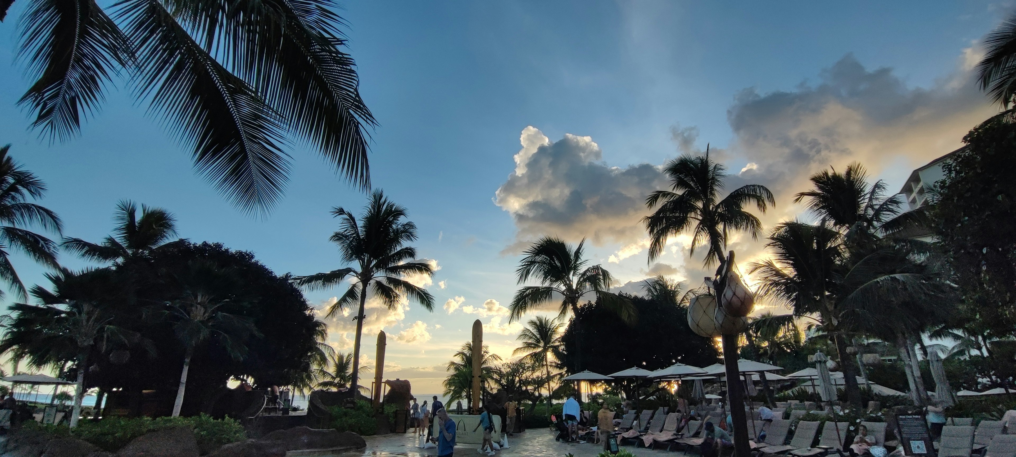 トロピカルなビーチリゾートの夕暮れの風景、ヤシの木とリラックスした雰囲気