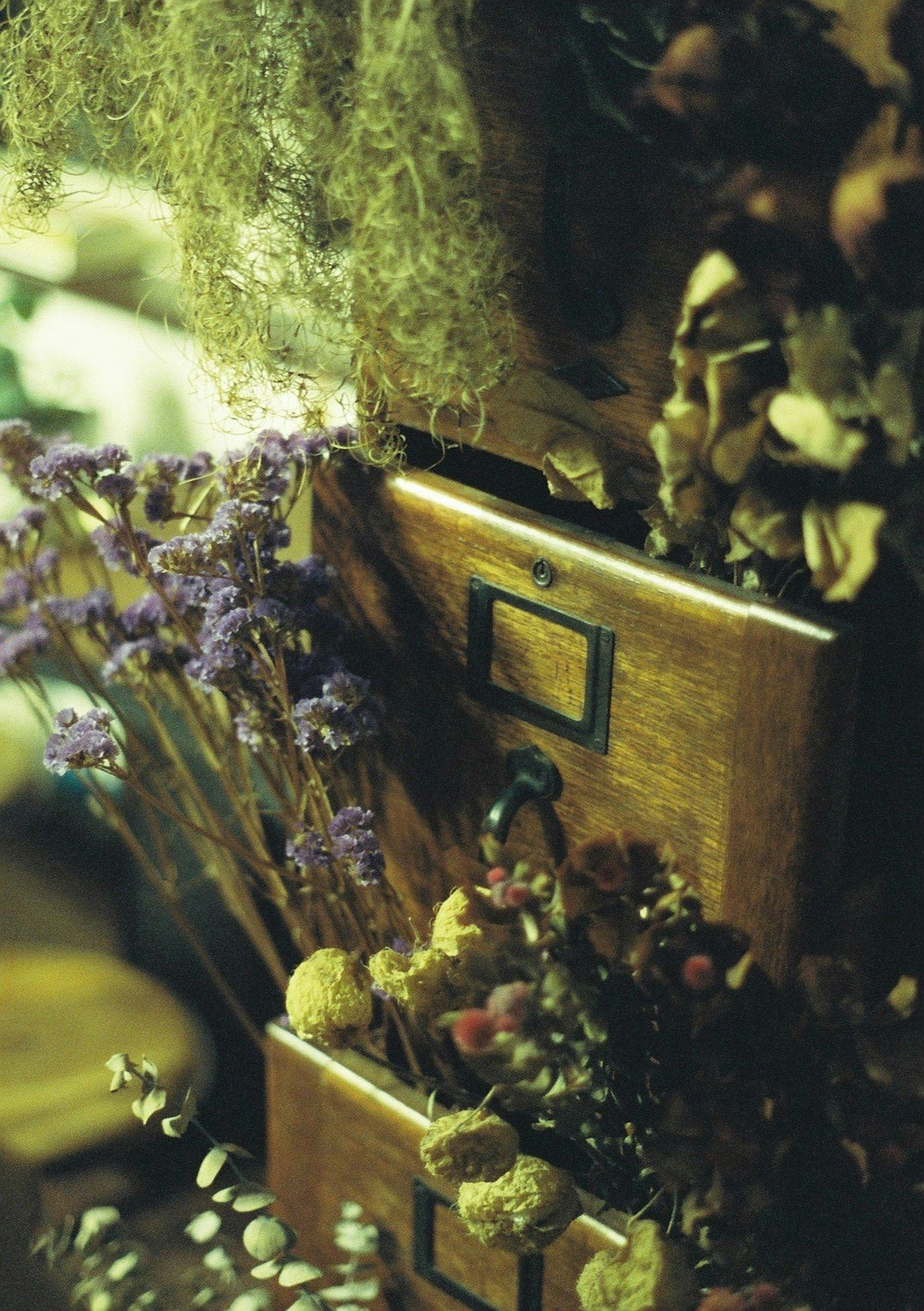 Close-up of wooden drawers filled with colorful dried flowers