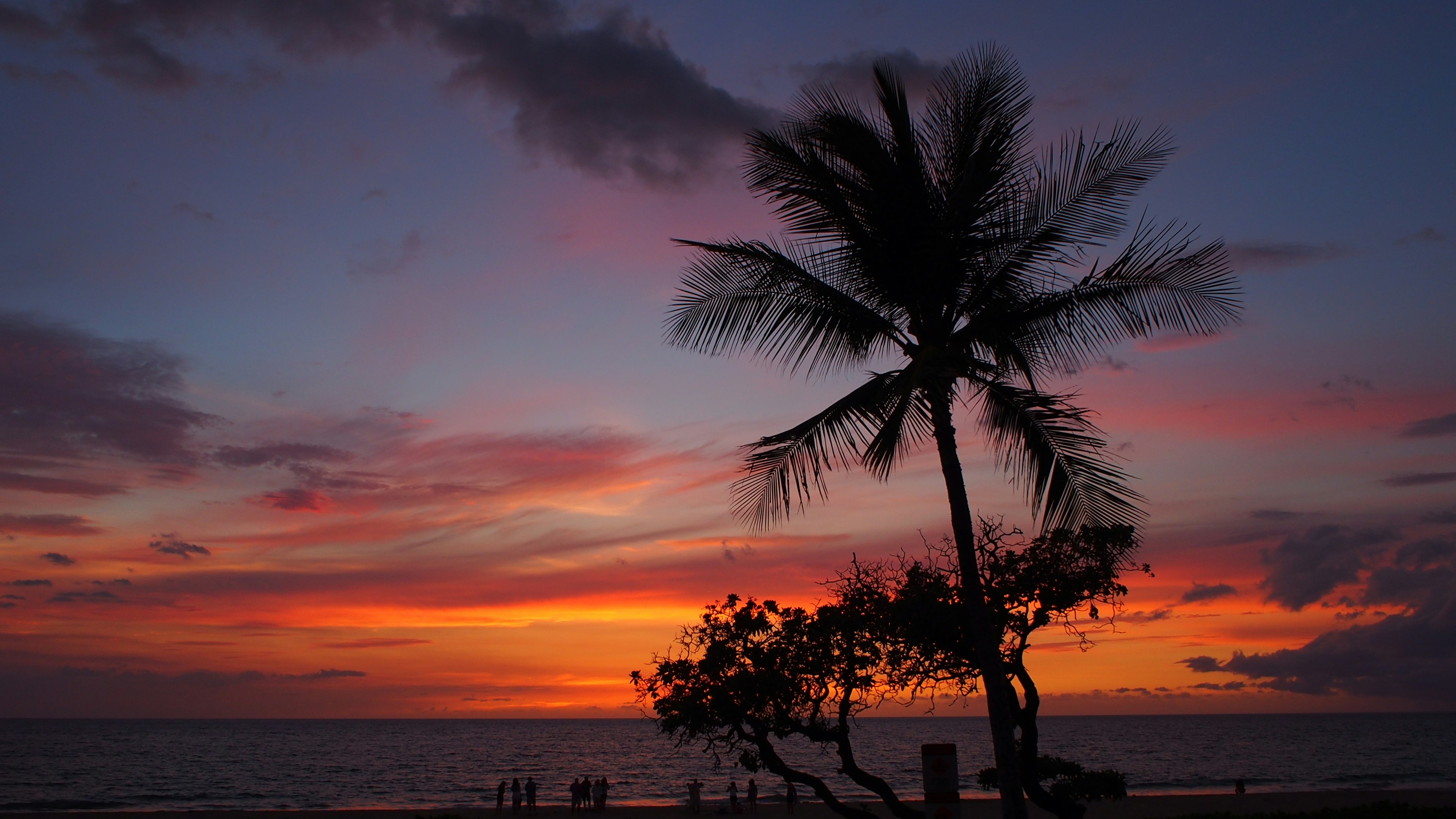 Coucher de soleil magnifique sur la mer avec la silhouette d'un palmier