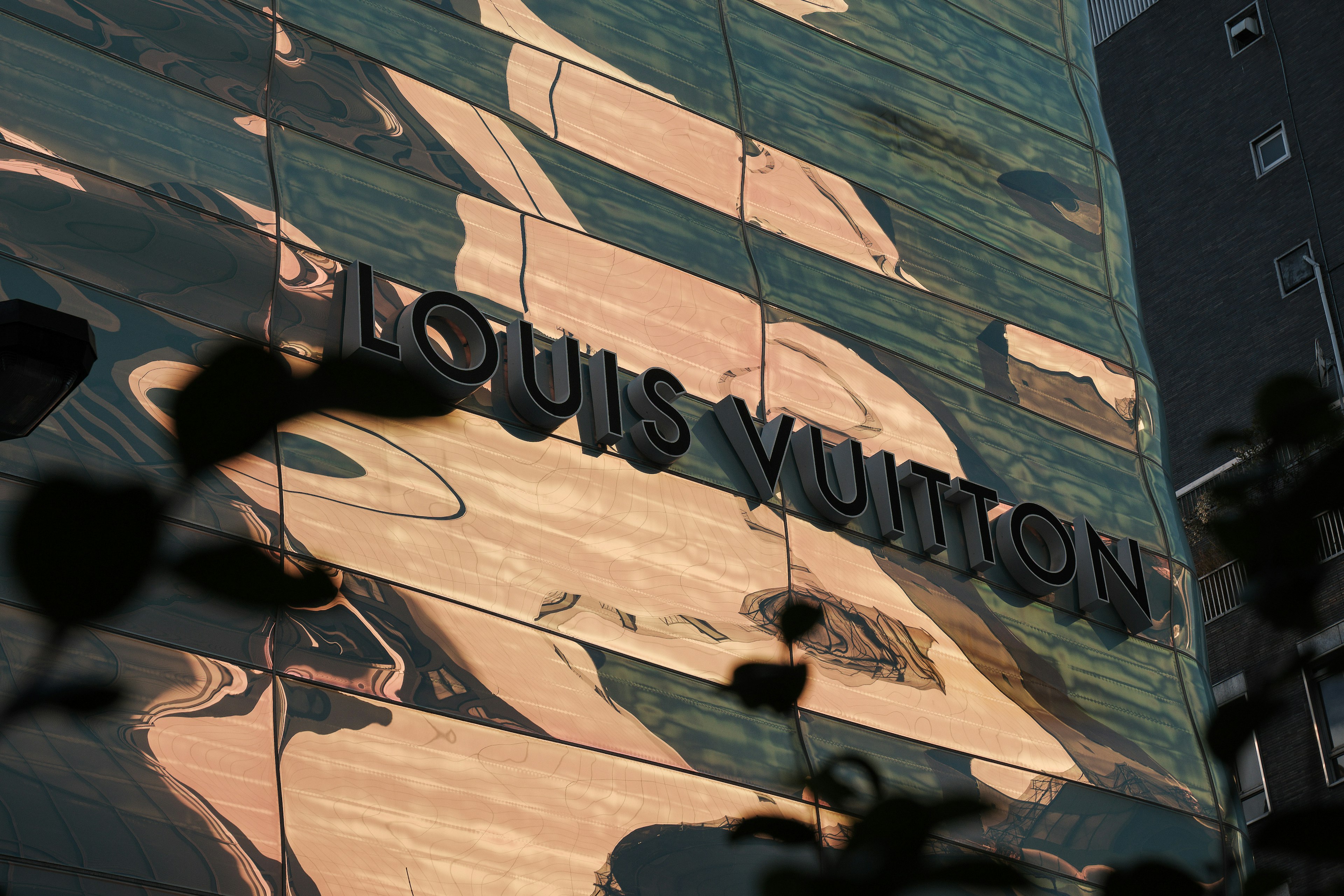 Façade du magasin Louis Vuitton avec surface réfléchissante et silhouette de plante