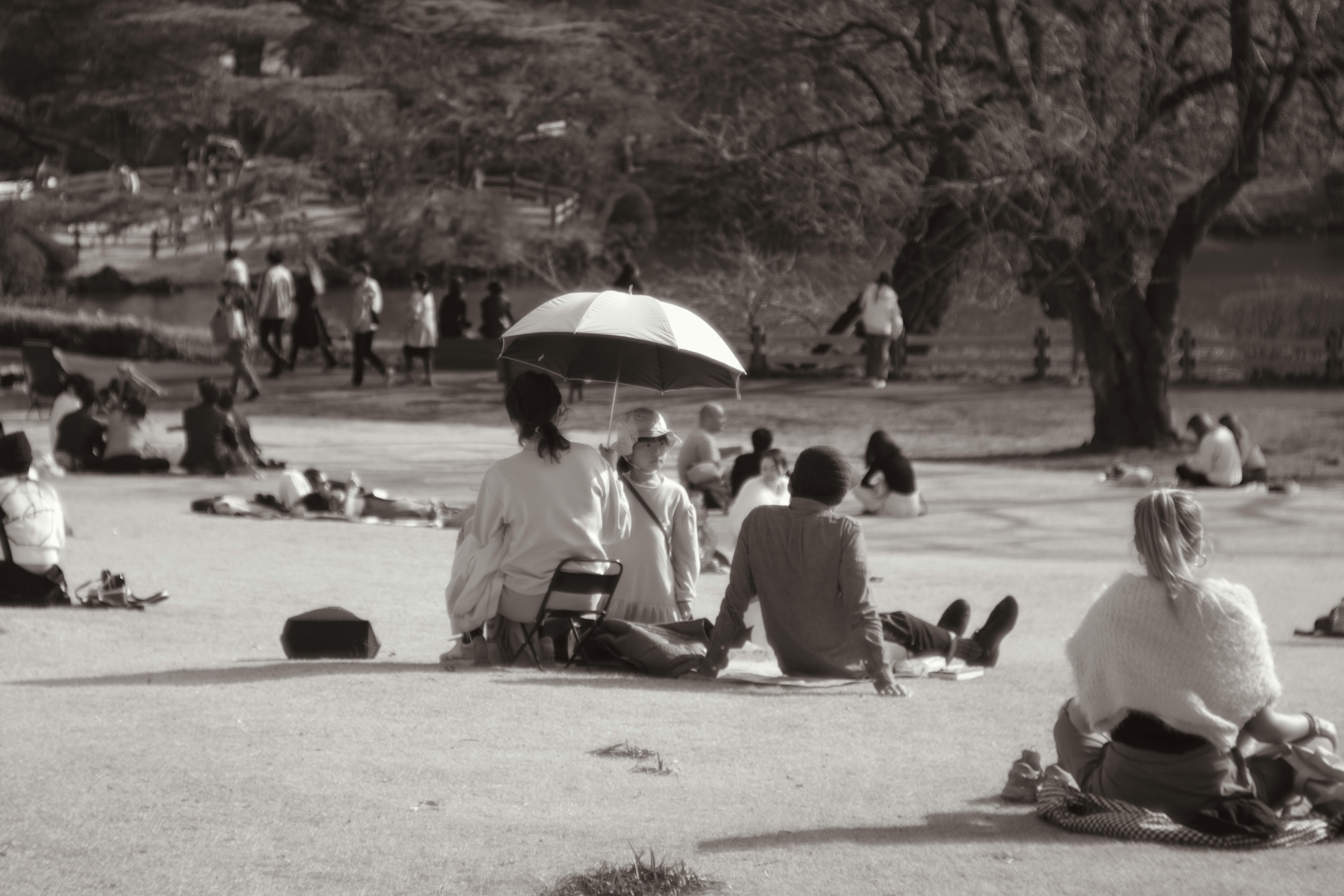 Black and white image of people relaxing in a park featuring a woman with an umbrella and surrounding trees