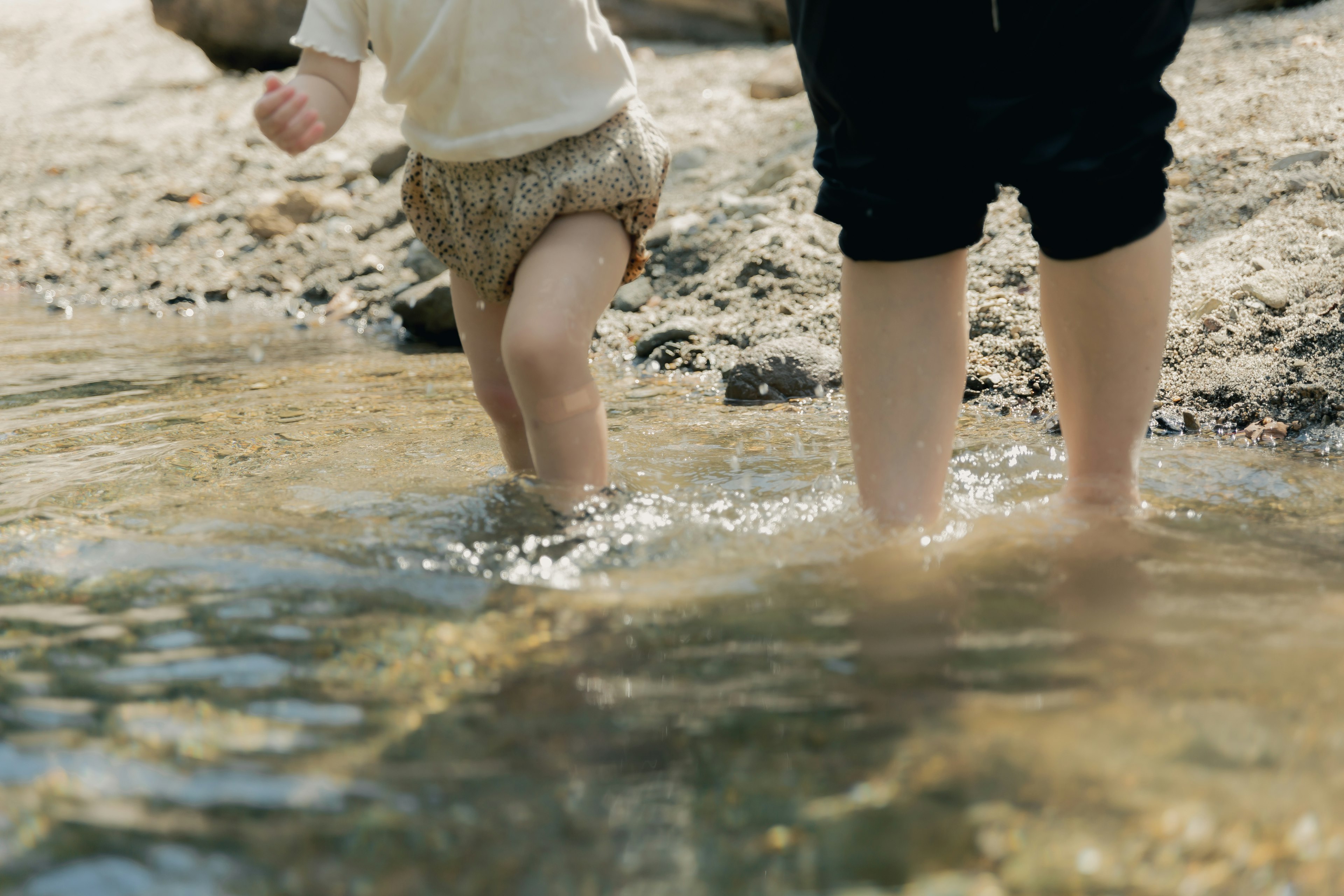 子供と大人が水の中を歩いている様子