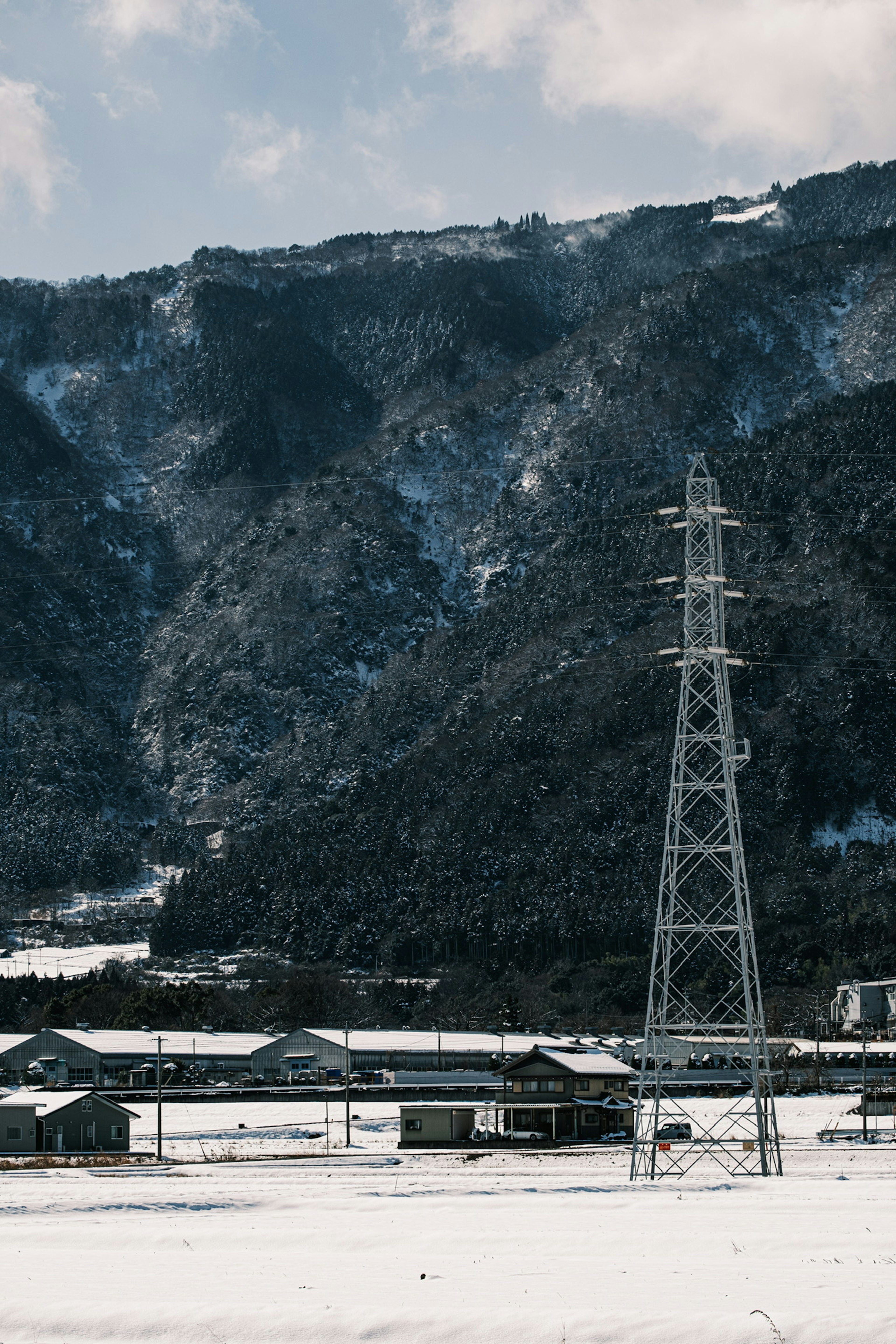 雪に覆われた風景と山々の背景に電柱が立っている