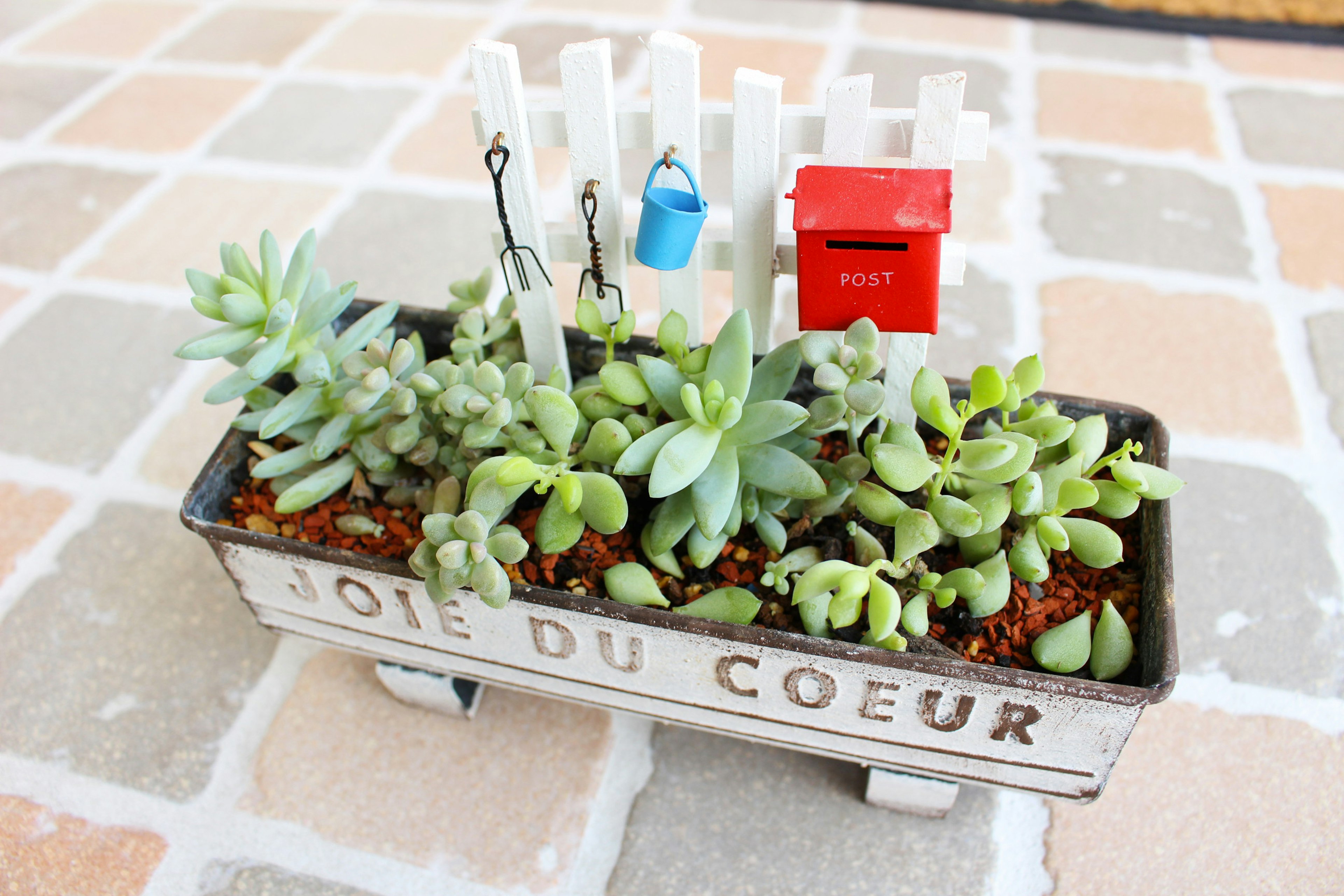 A small planter with succulents featuring a red mailbox and a blue bucket