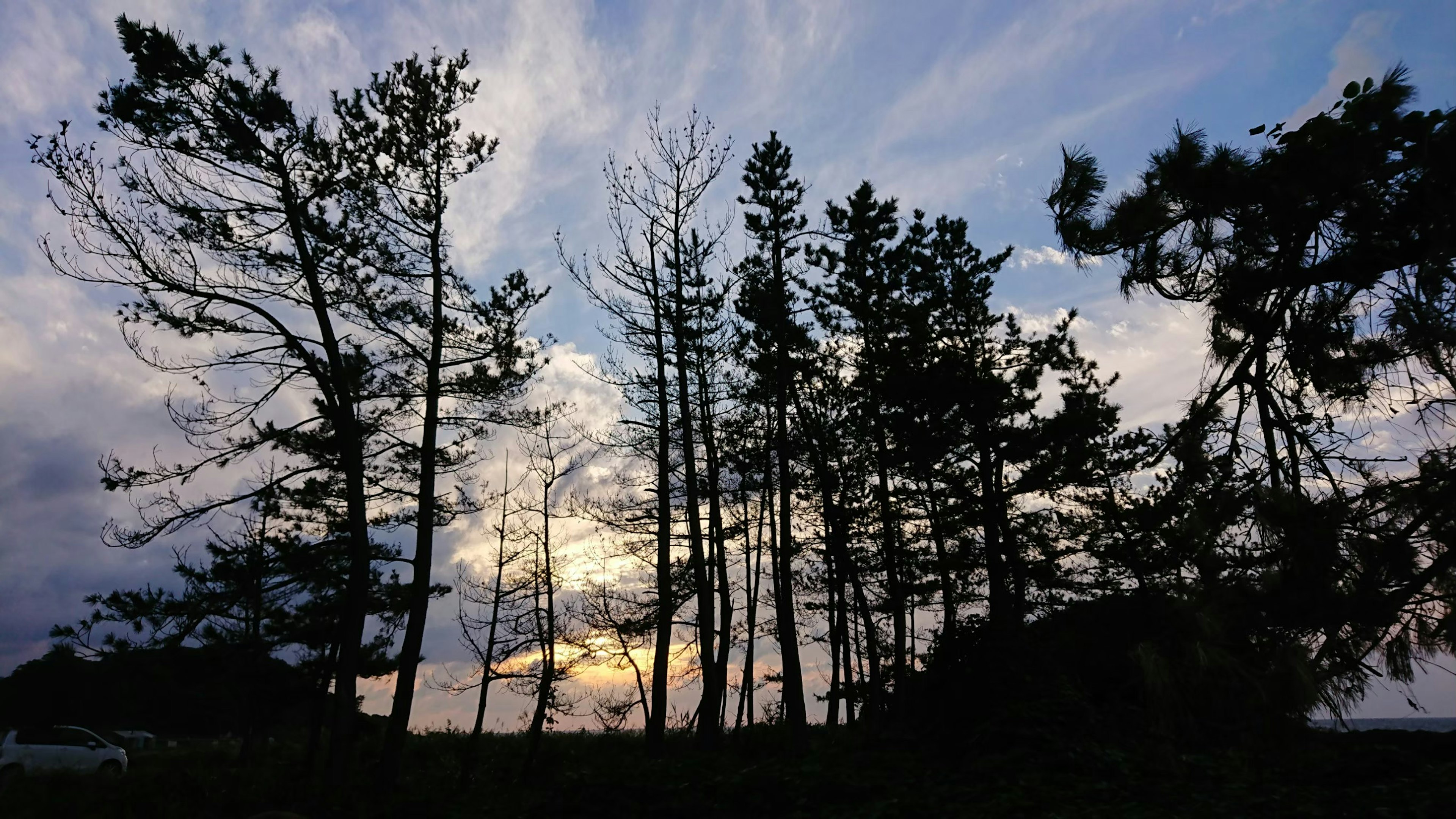 Silhouette of trees against a colorful sunset sky