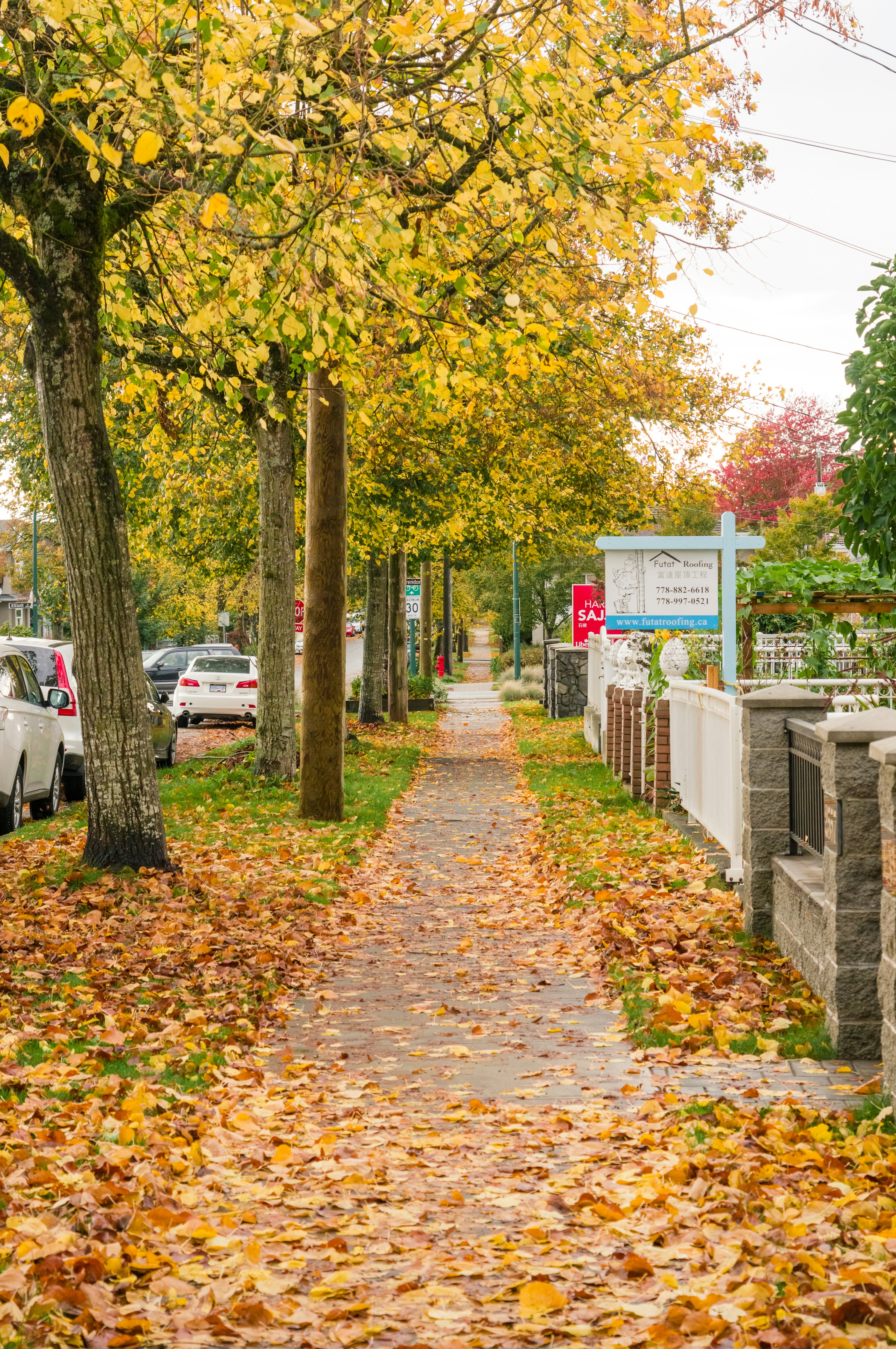 Trottoir bordé d'arbres et de feuilles d'automne éparpillées