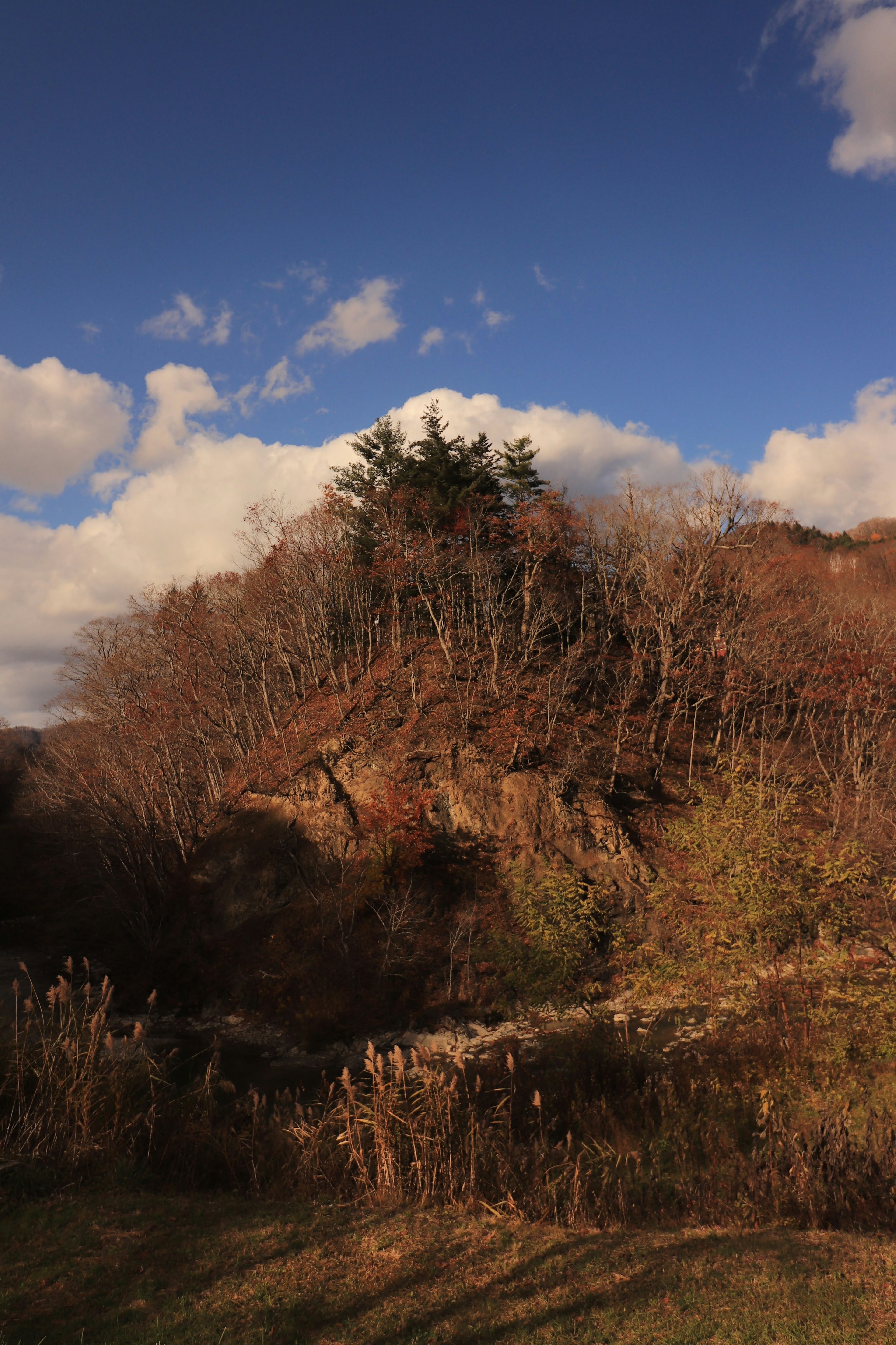 Hügel mit Bäumen unter einem blauen Himmel und weißen Wolken in einer herbstlichen Landschaft