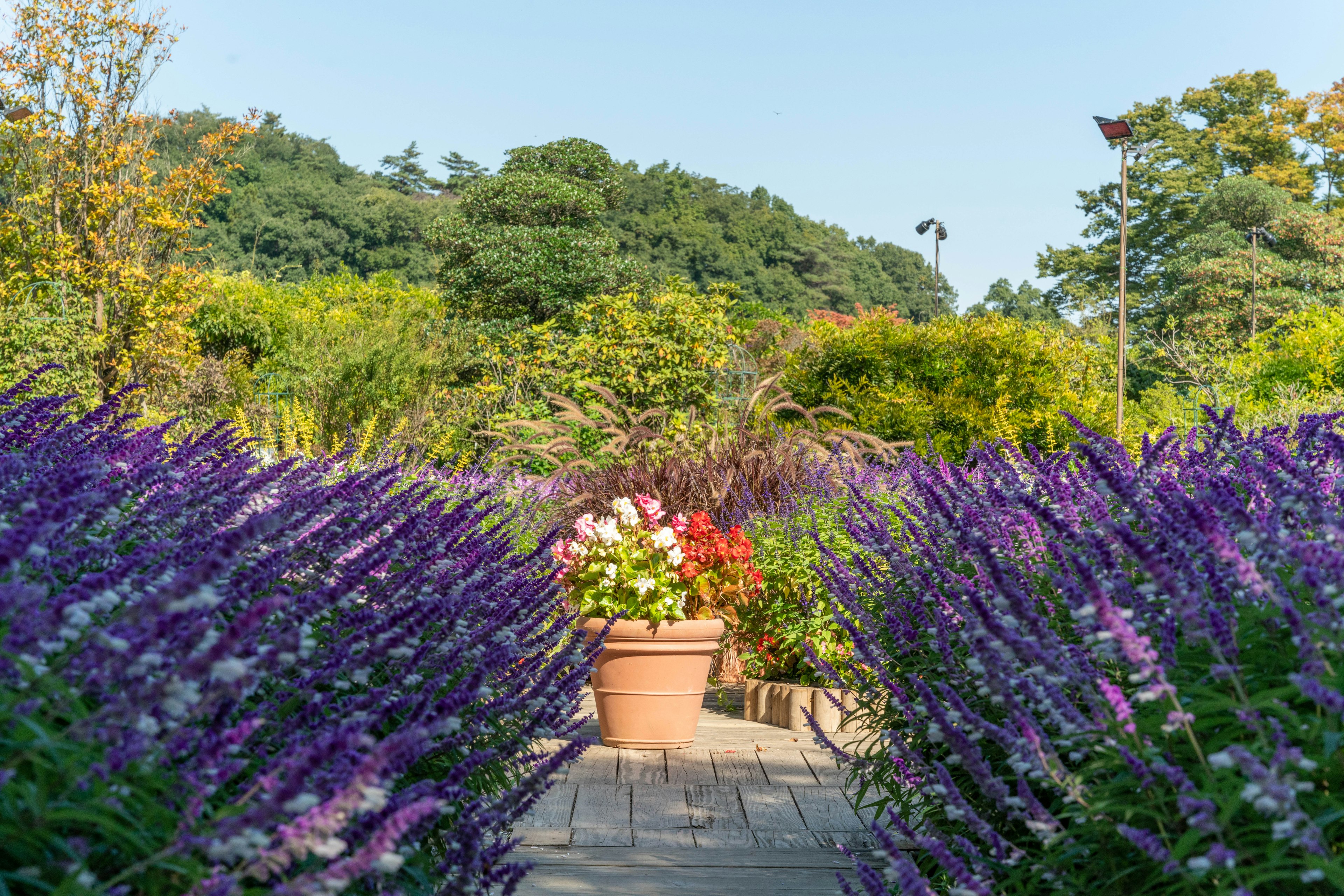 Un sendero pintoresco con flores coloridas en un jardín