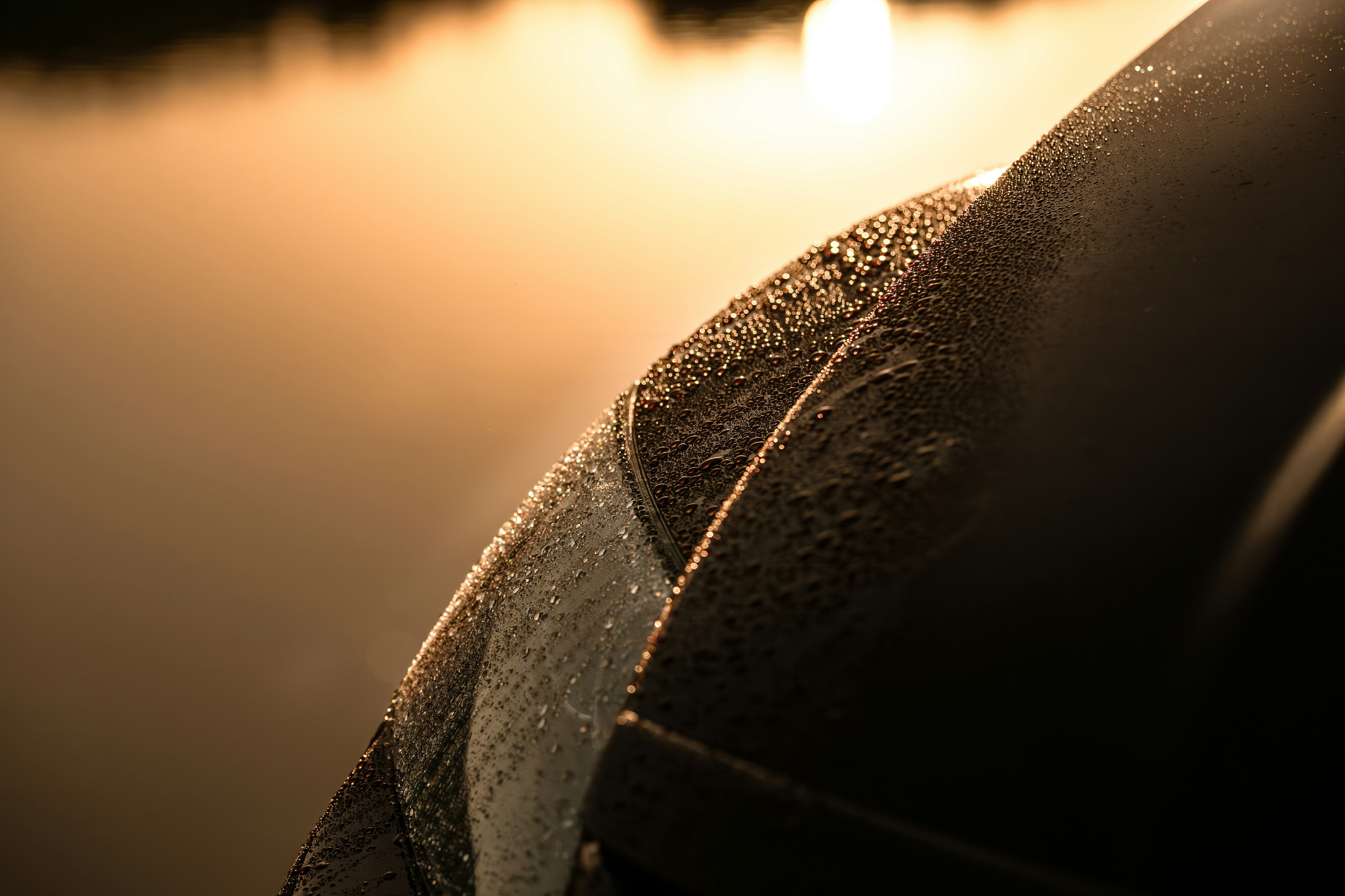 Close-up of a ring with dew against a reflective water surface