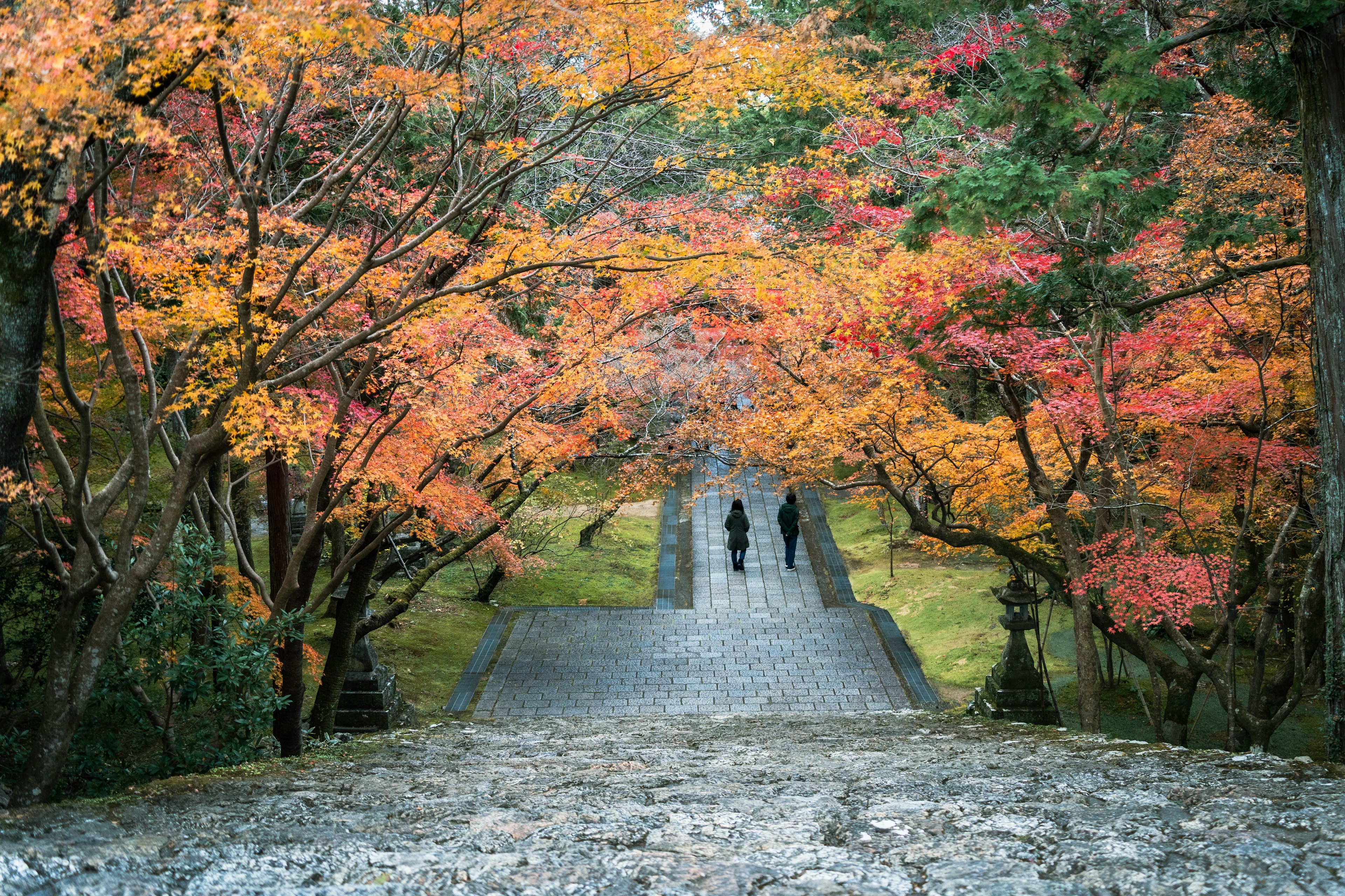 紅葉に囲まれた道を歩く二人の人物