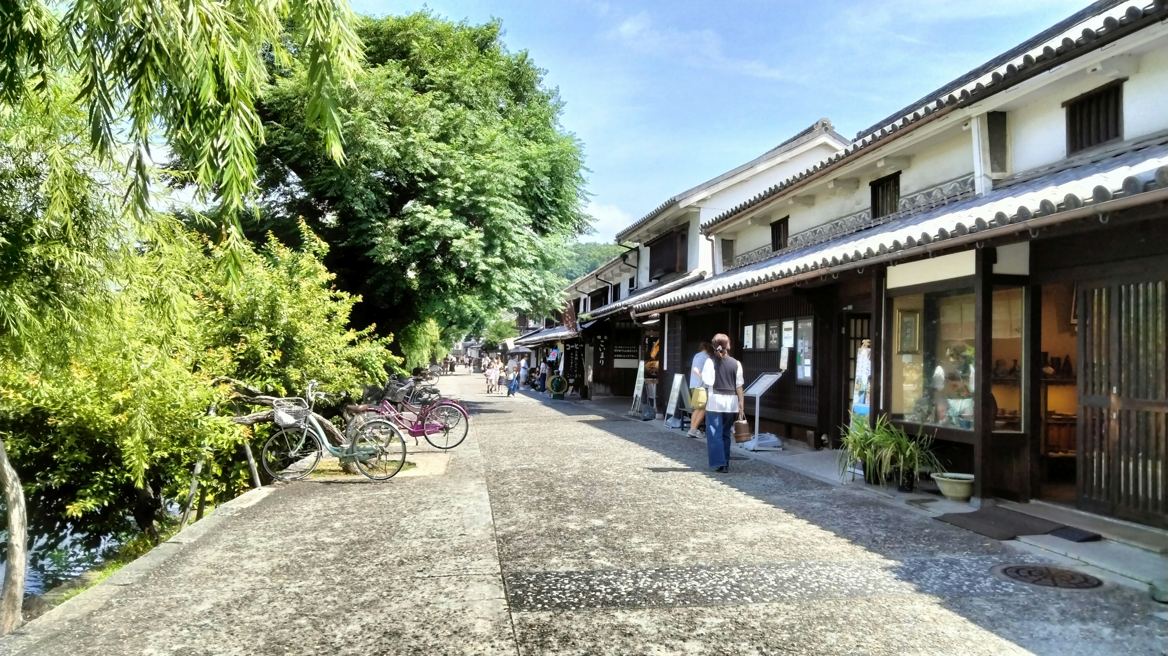 緑豊かな通りに沿った古い建物と自転車のある景色