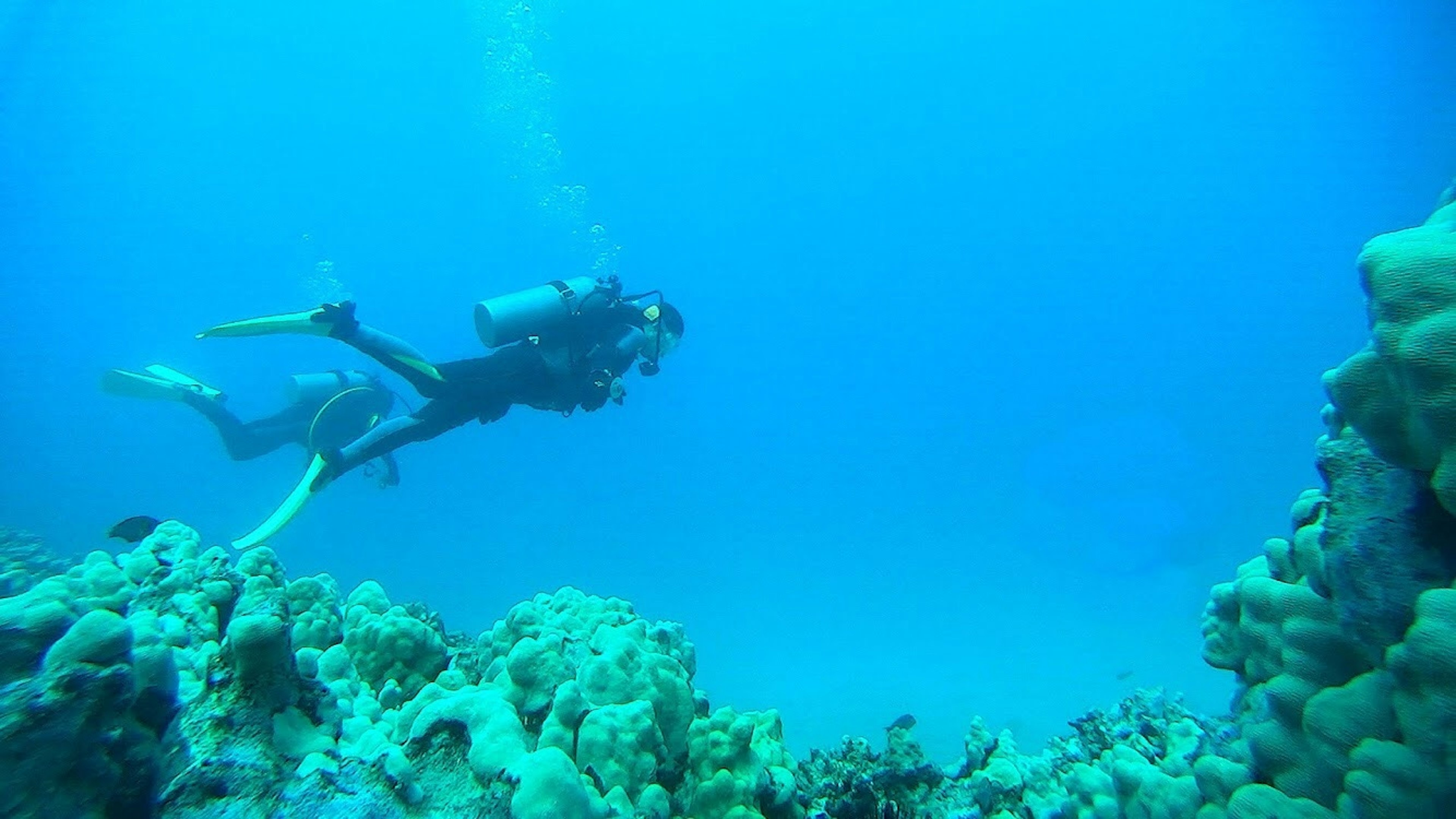 A scuba diver swimming in a blue ocean with coral reef in the background