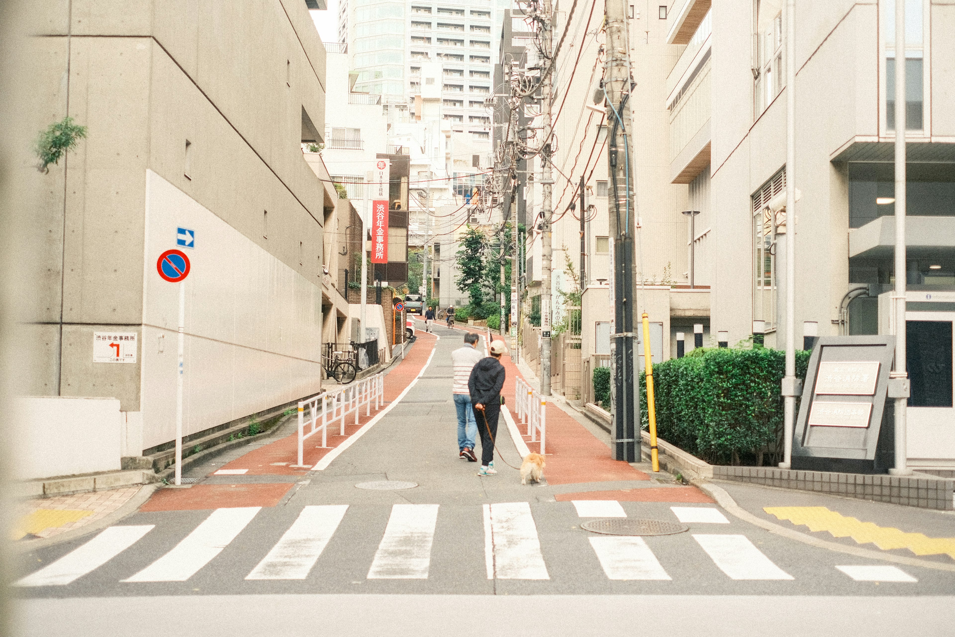 静かな街並みを歩く二人のカップル 白線のある交差点と高層ビルが見える