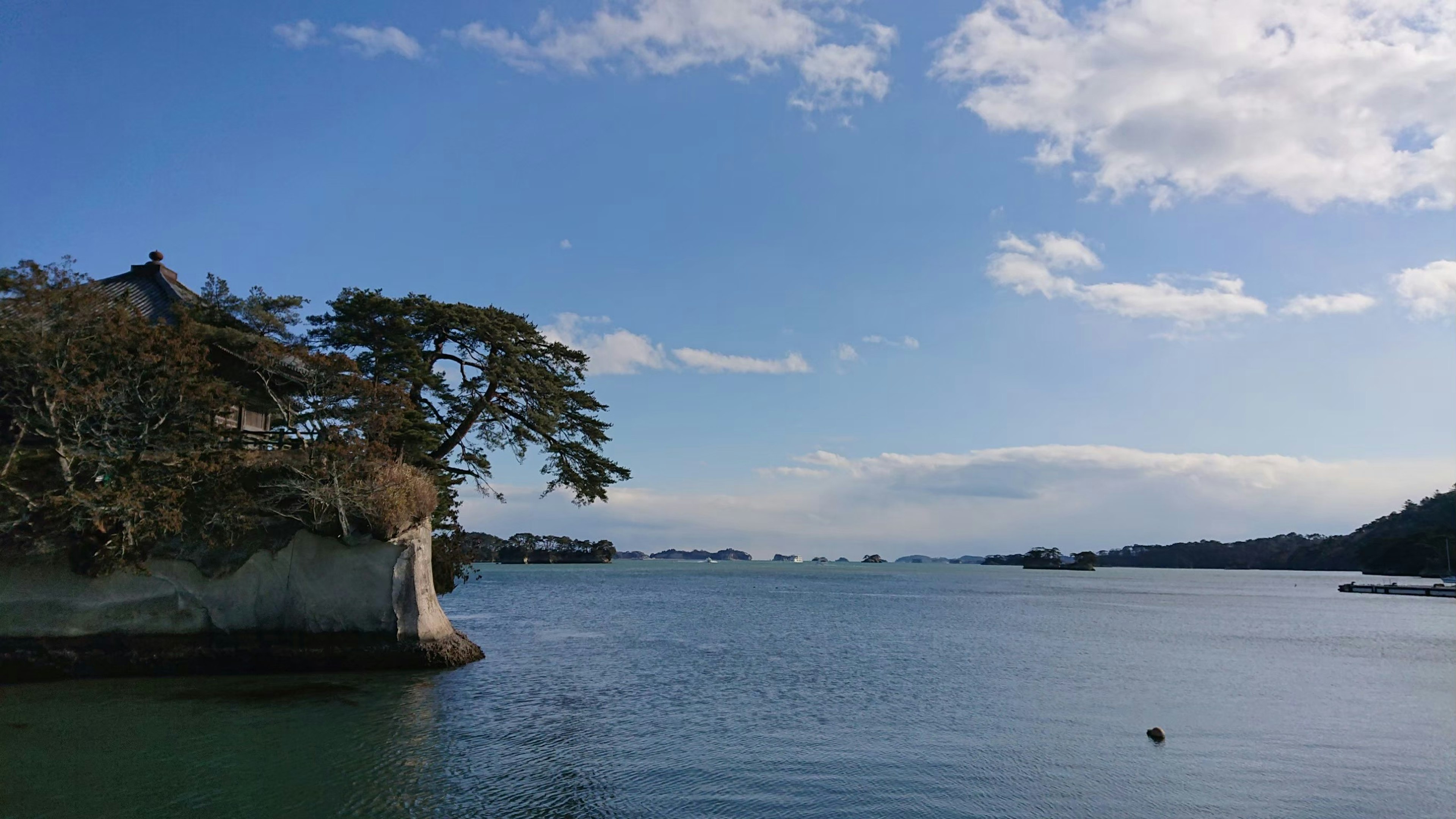 Vista panoramica di cielo blu e acqua calma con piante e edifici visibili