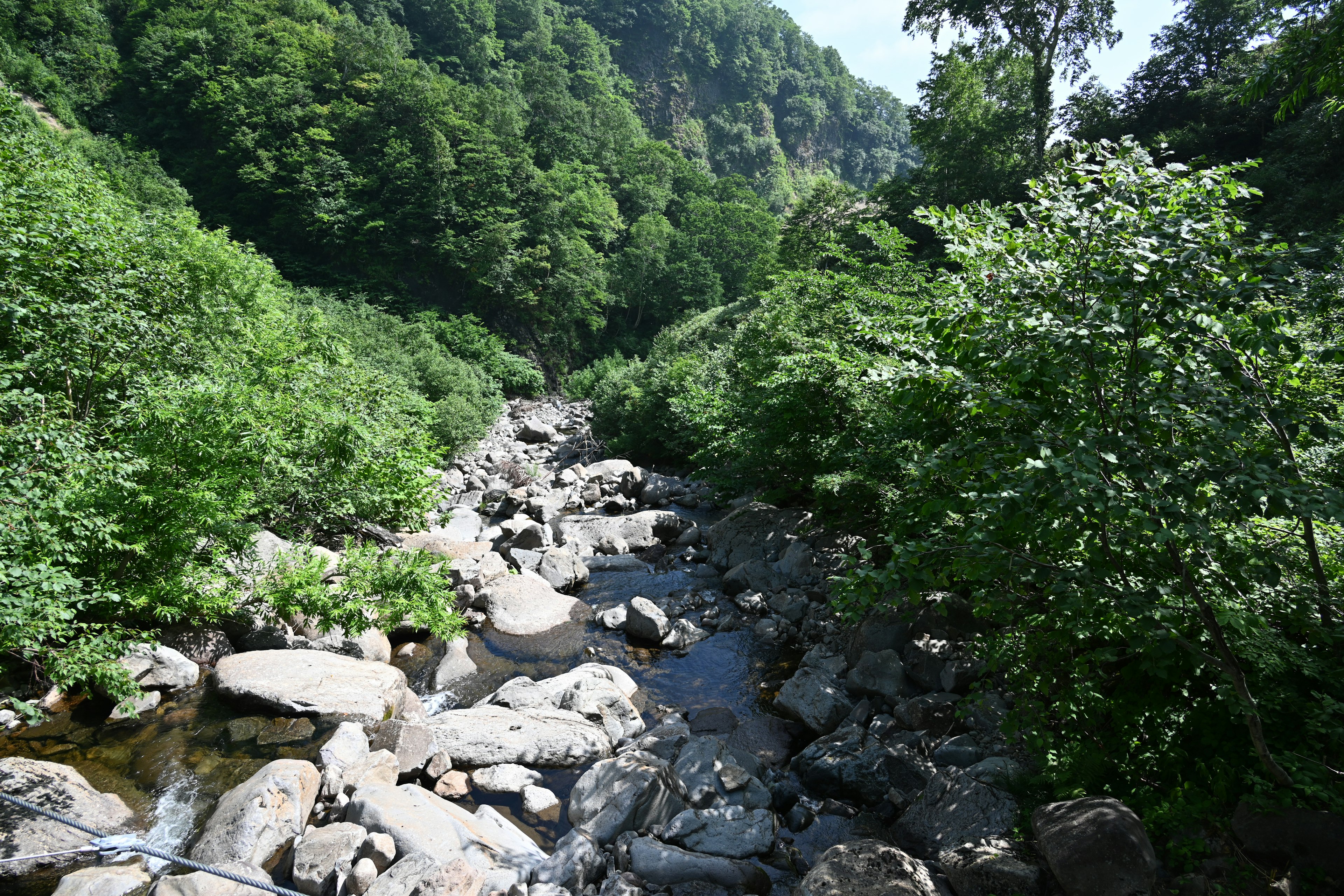 郁郁蔥蔥的風景，有河流和岩石