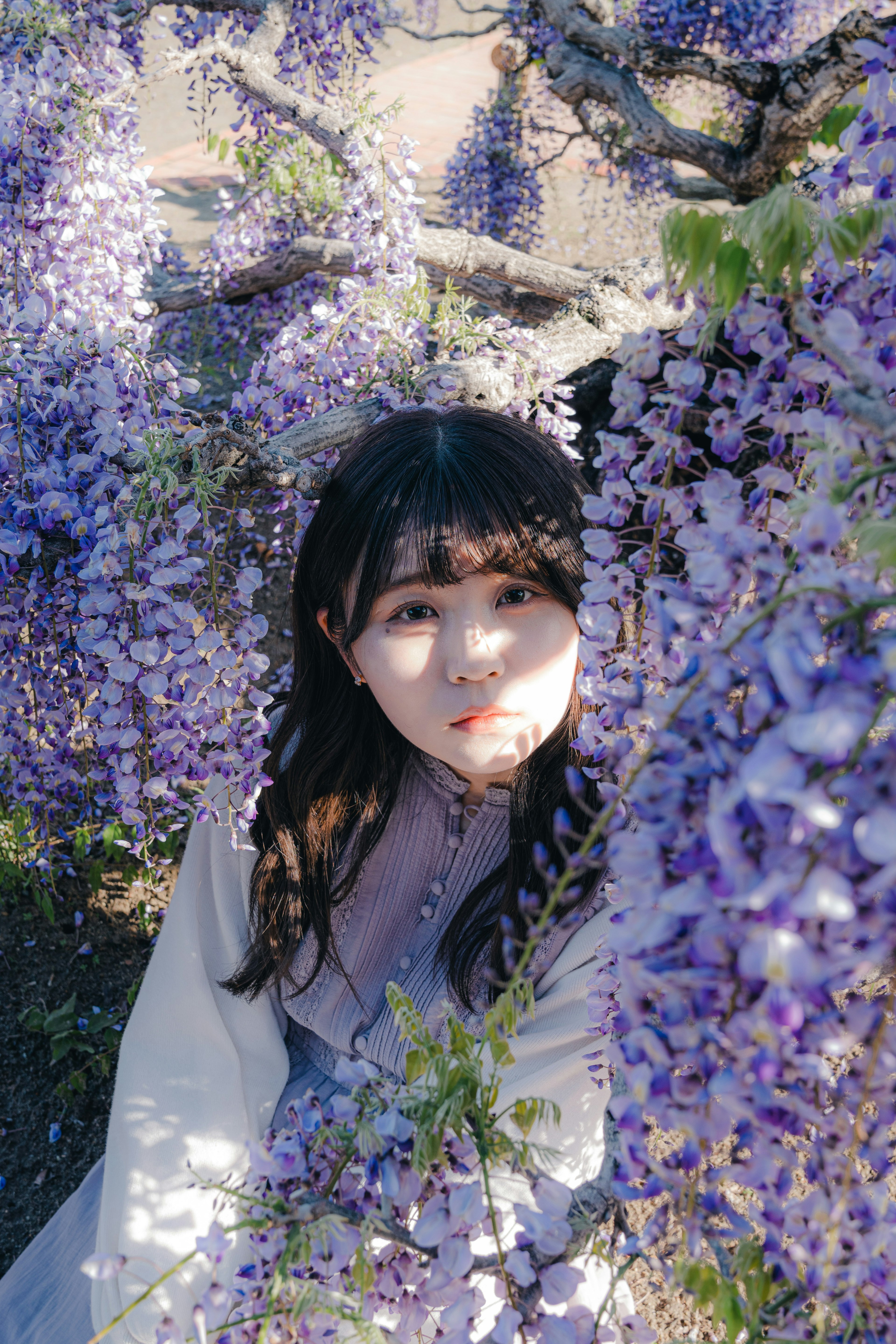 Portrait d'une fille entourée de fleurs de glycine violettes