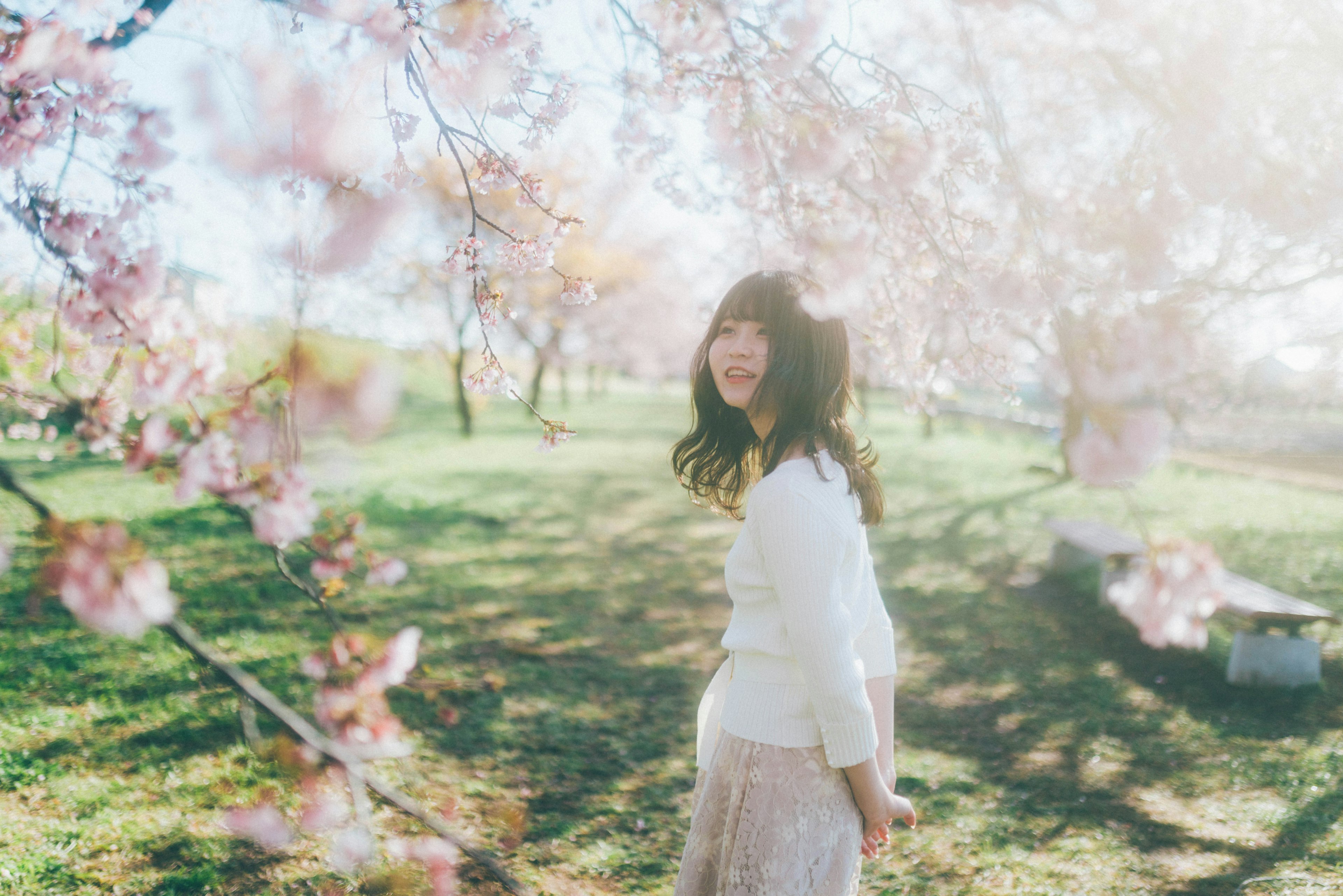 春の桜の木の下で微笑む若い女性の姿