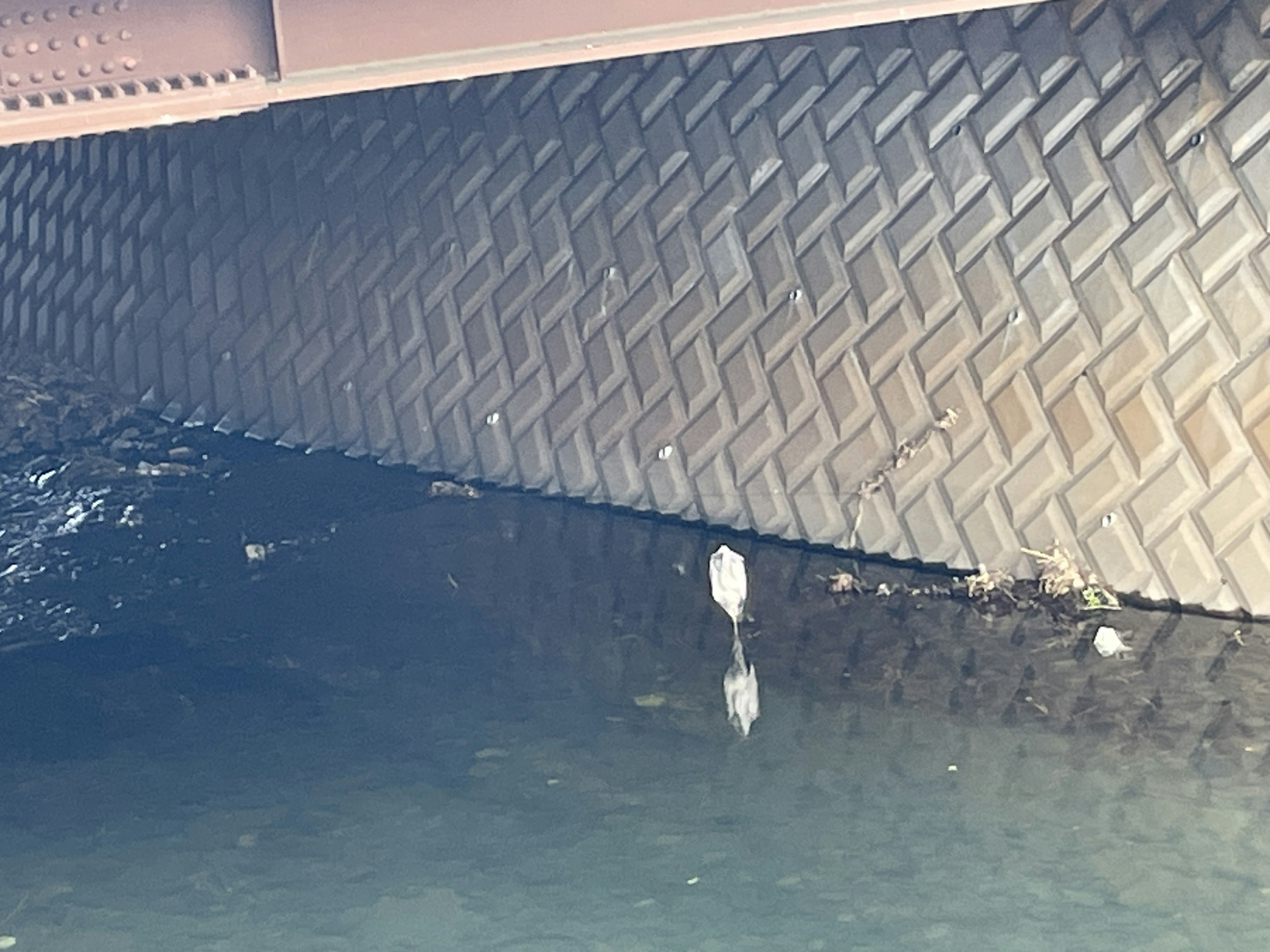 Reflet de l'underside d'un pont dans l'eau avec surface texturée