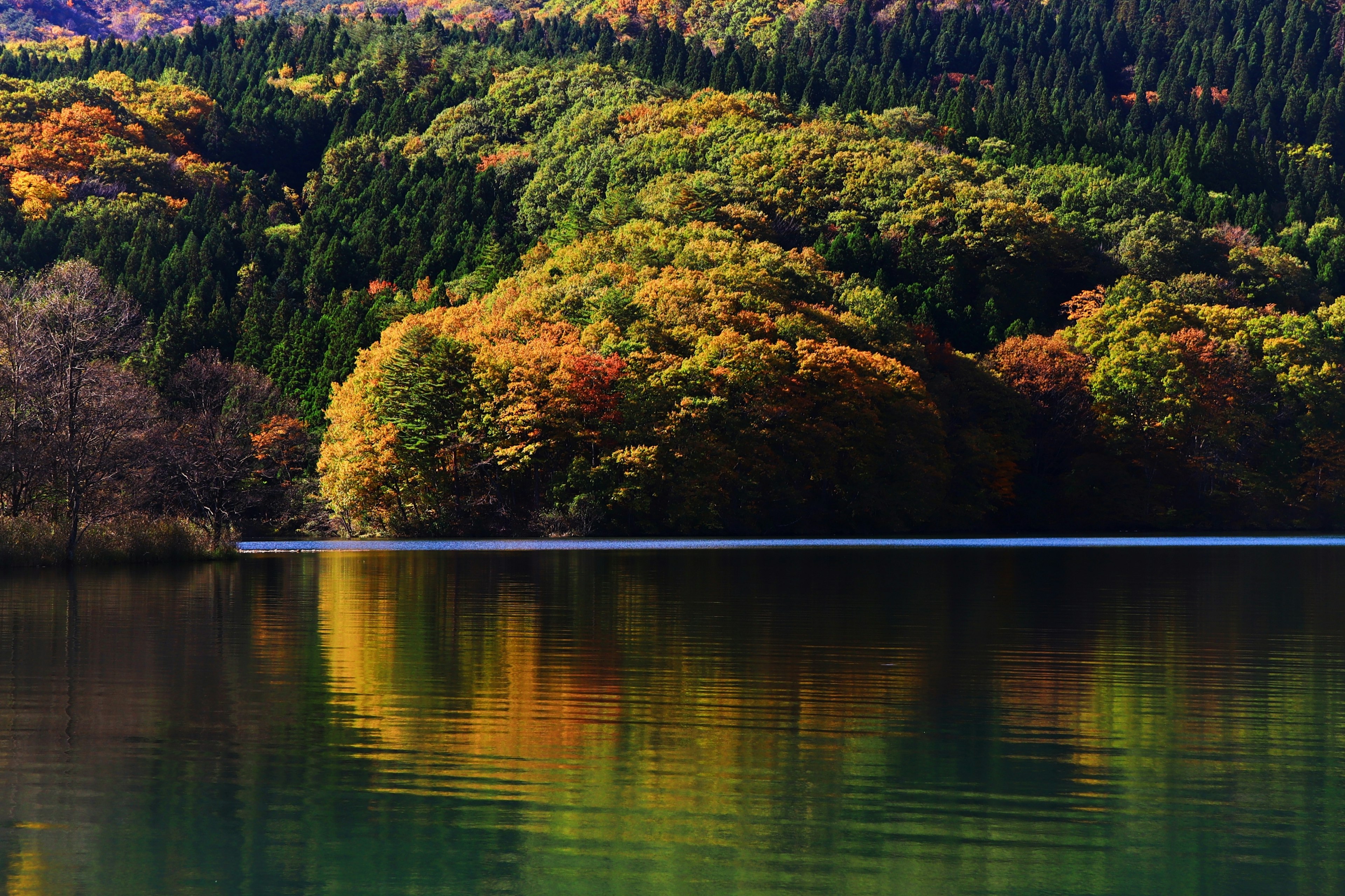 Malersicher Blick auf einen See mit leuchtendem Herbstlaub, das sich im Wasser spiegelt