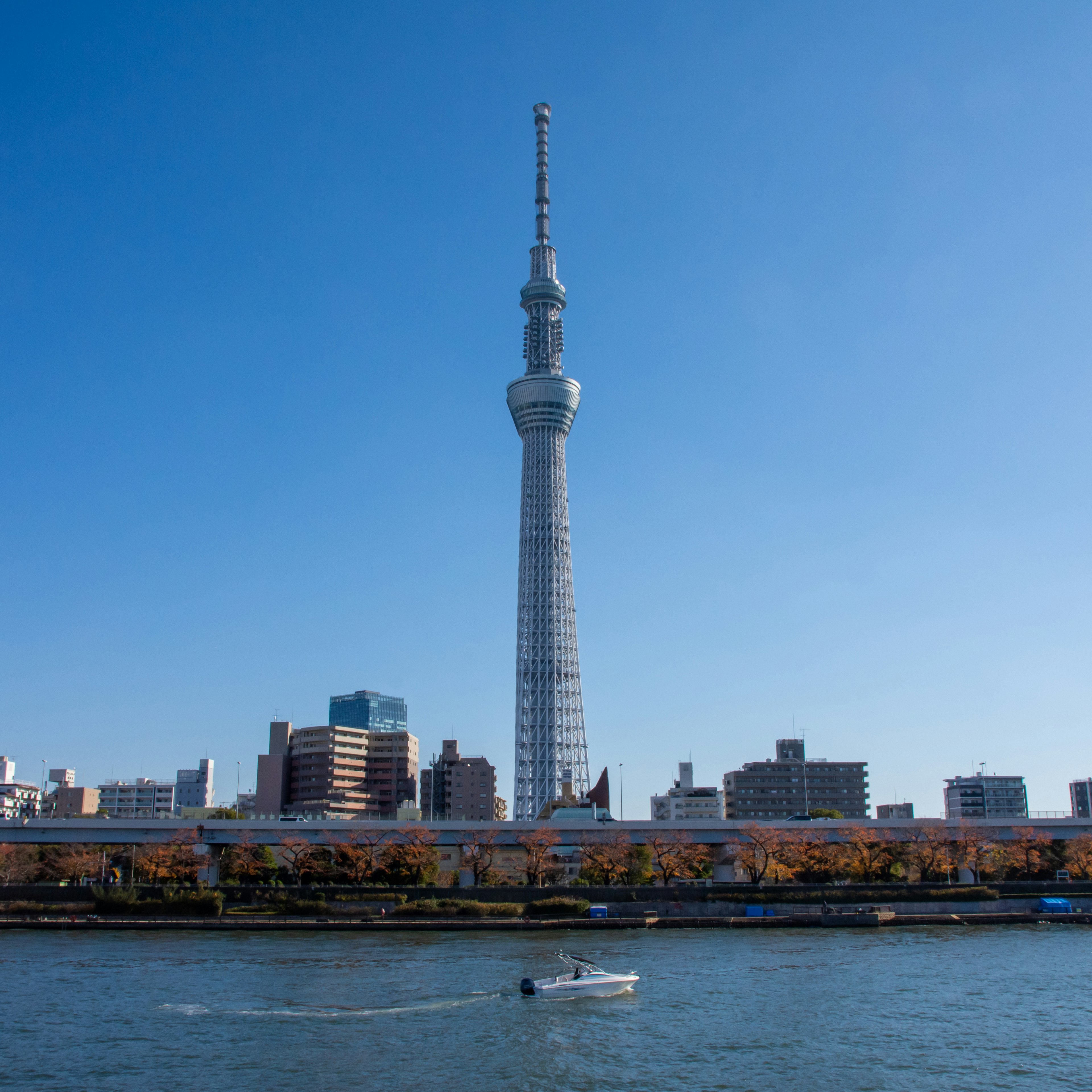 Tokyo Skytree menjulang di bawah langit biru cerah dengan pemandangan perkotaan dan sungai di dekatnya