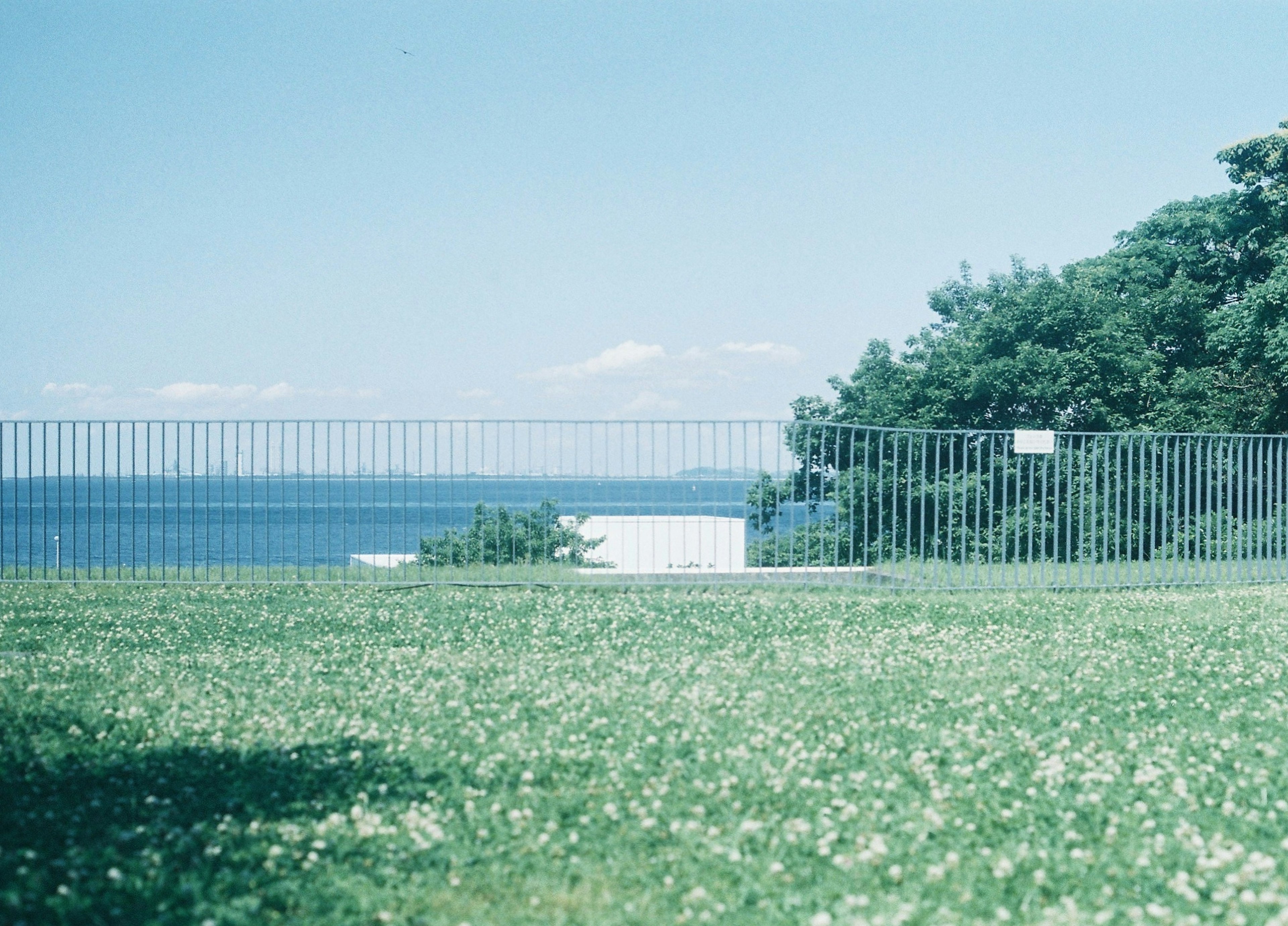 青い海と緑の草地が広がる風景