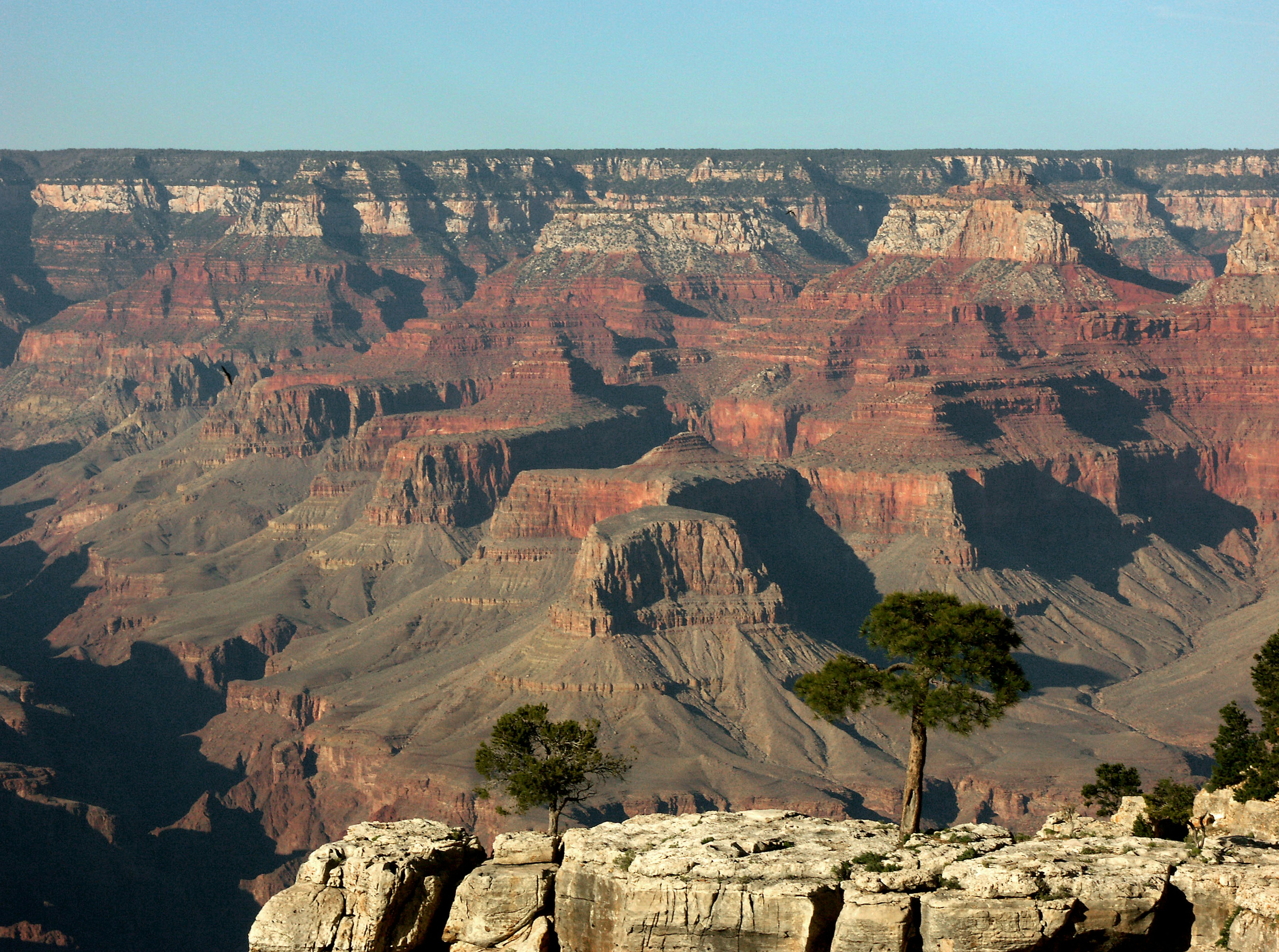 Pemandangan menakjubkan Grand Canyon lapisan batu merah dan pohon hijau