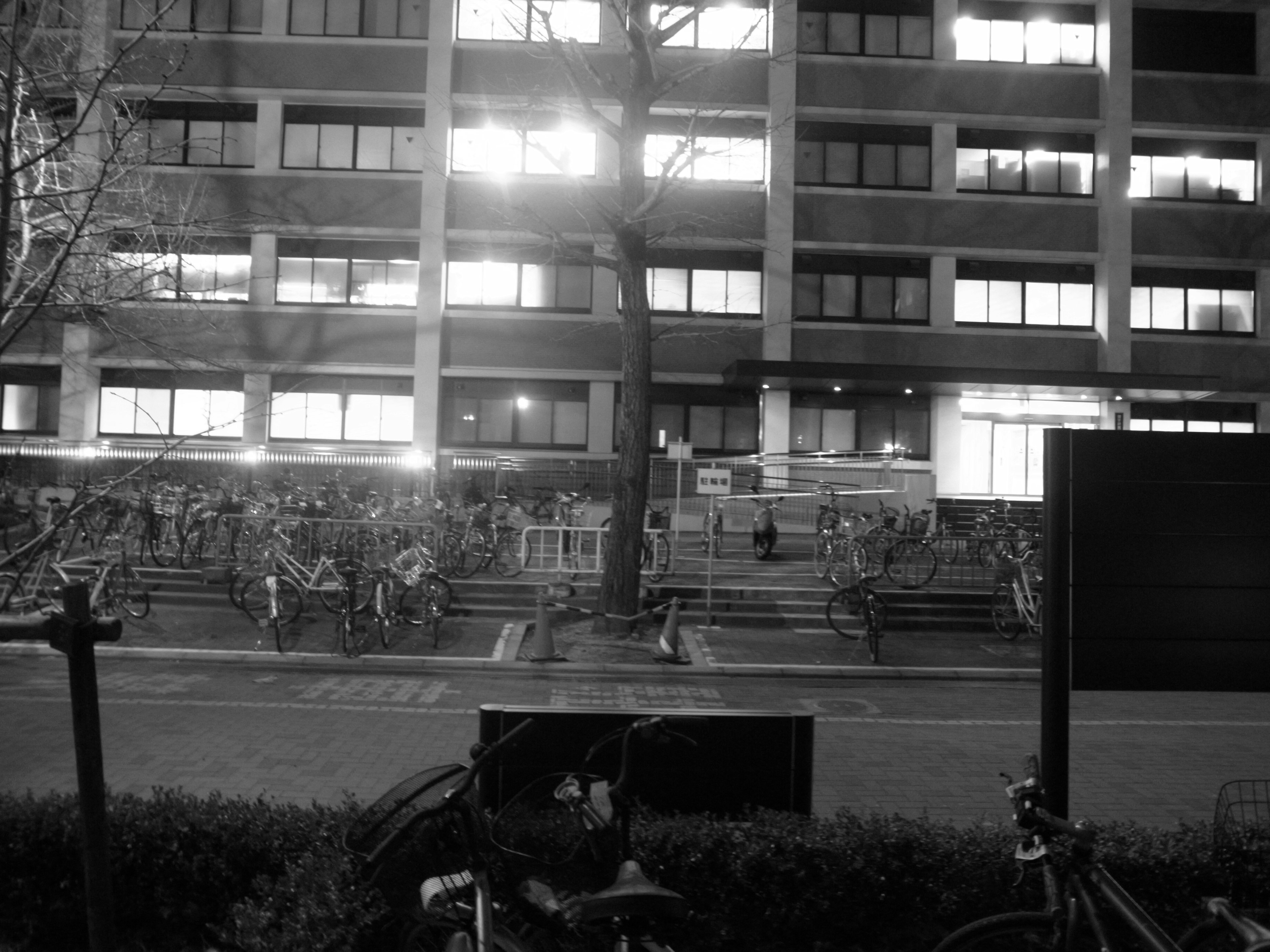 Night cityscape featuring rows of bicycles and building lights