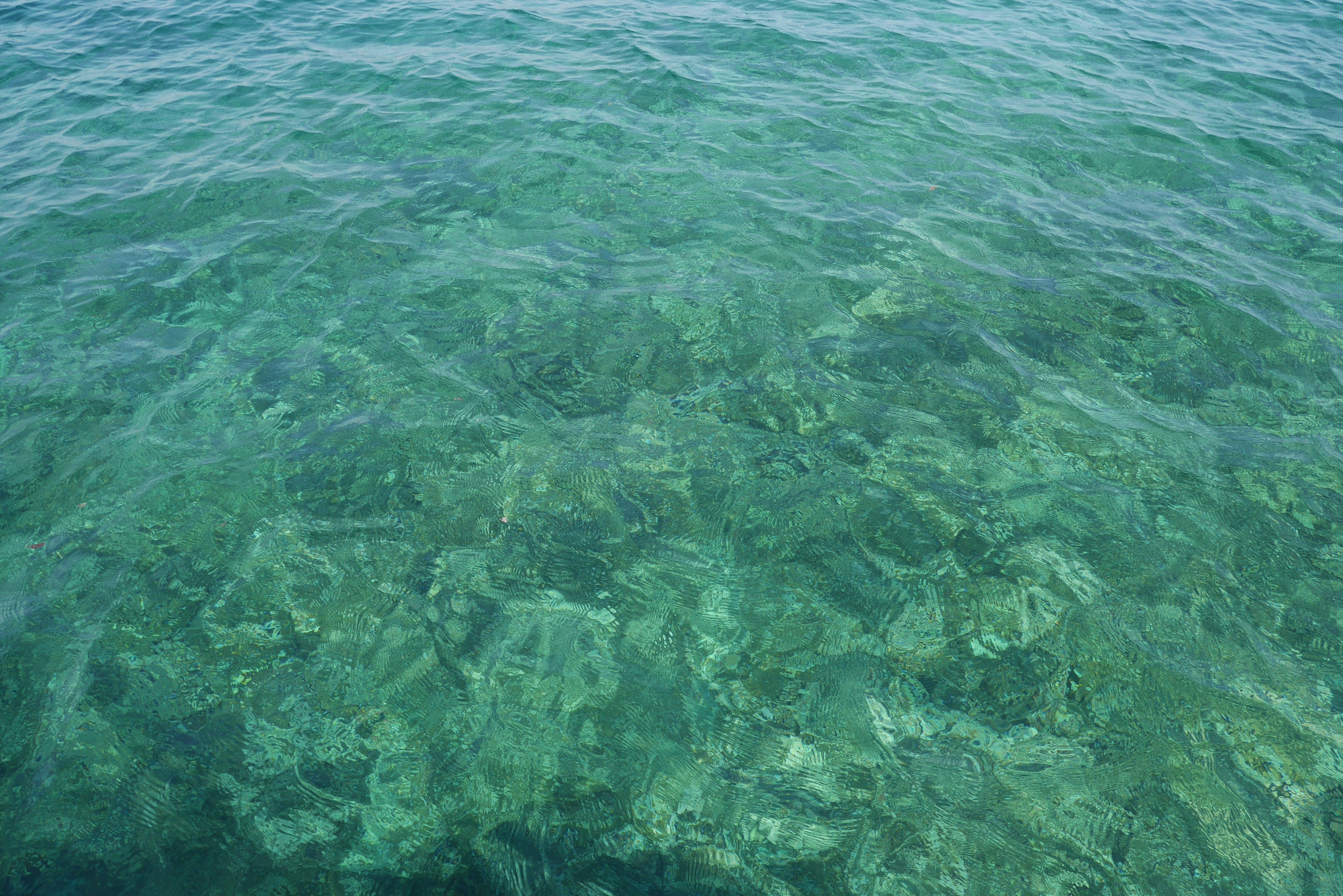 Clear water revealing underwater rocks and coral