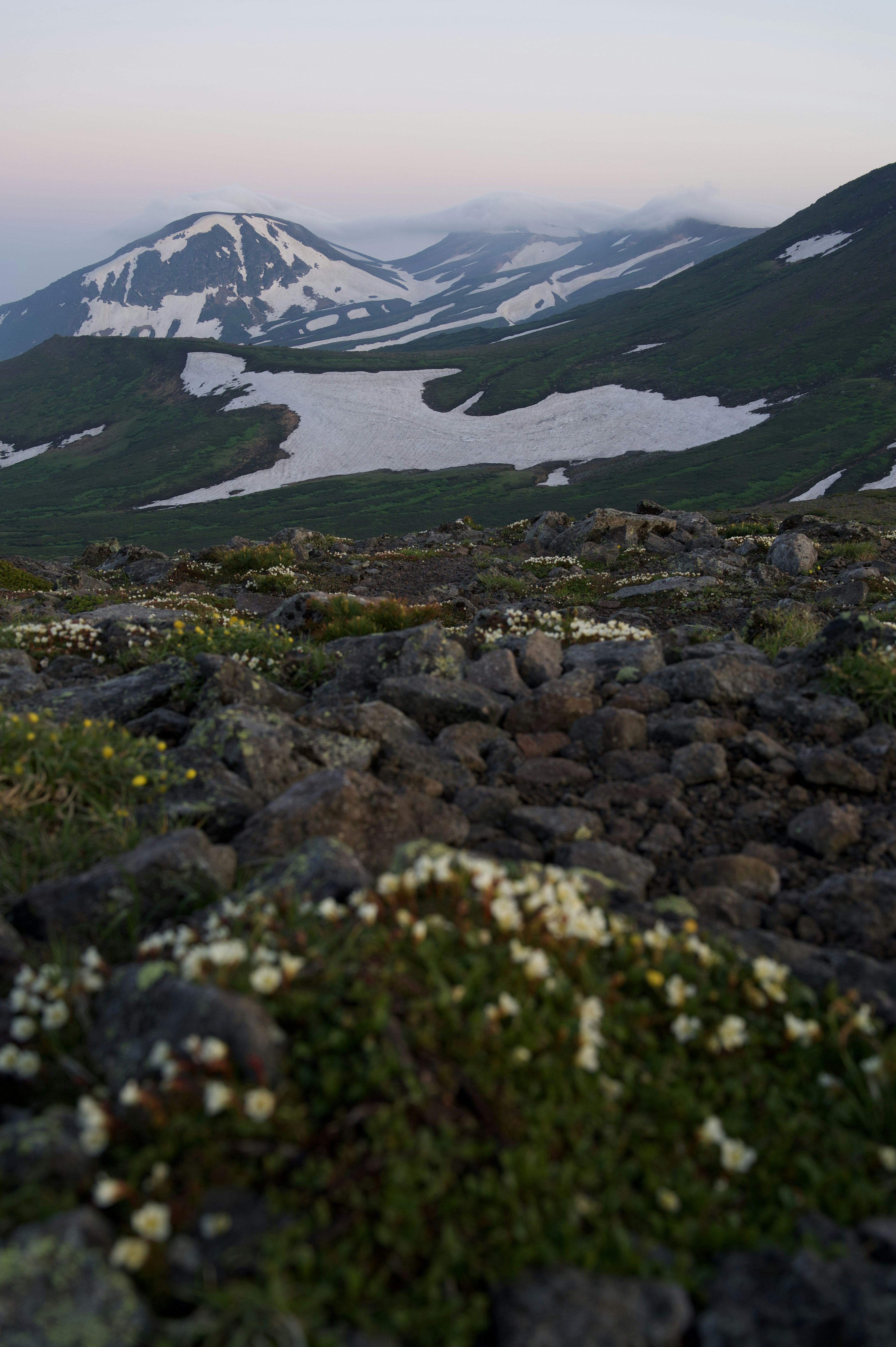 Landscape featuring snow-capped mountains and green meadows